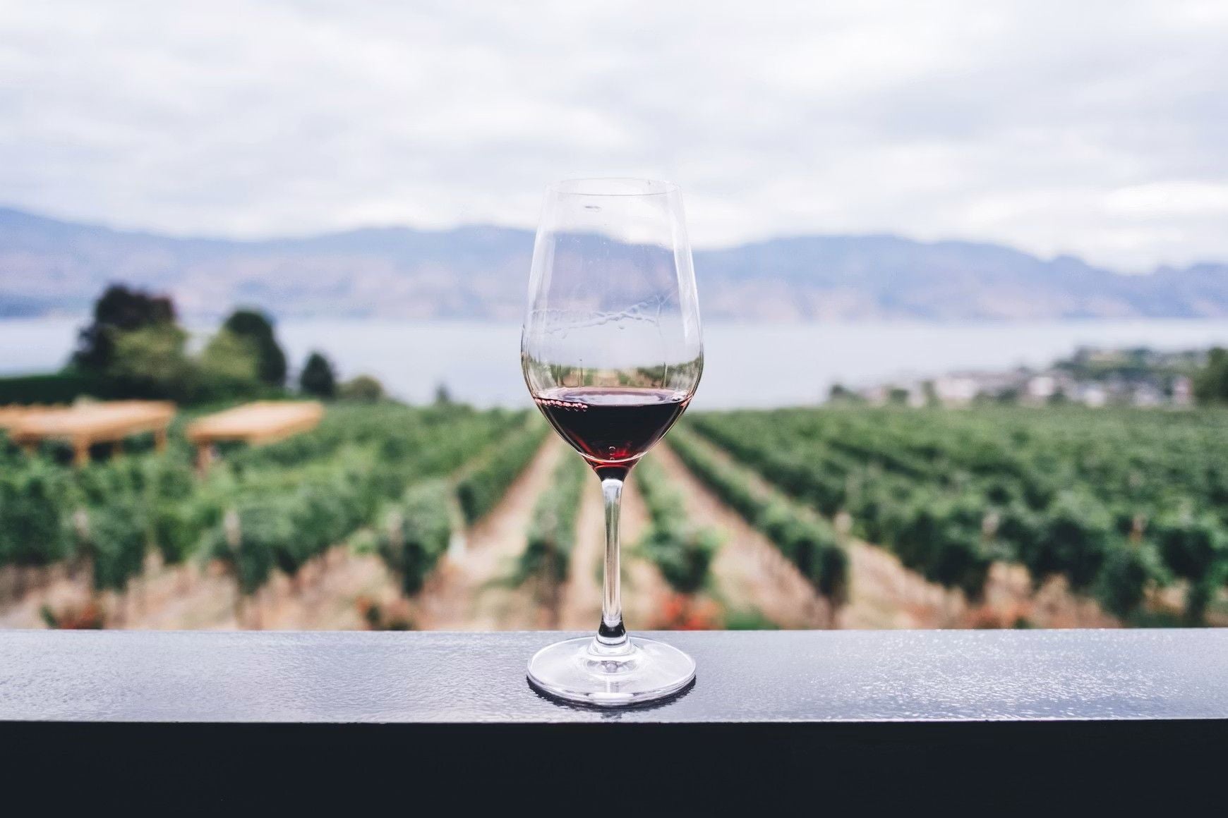 Weinglas mit Rotwein vor einem Weinberg und See in einer ländlichen Landschaft.