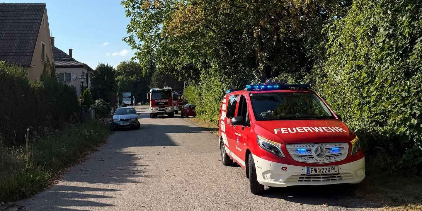 Zwei Feuerwehrautos mit Blaulicht stehen bei einem Einsatz am Straßenrand in einer Wohngegend.