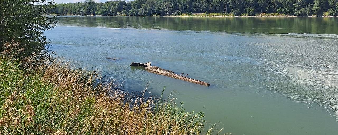 Großer Treibholzstamm ragt an einem sonnigen Tag aus einem ruhig fließenden Fluss.