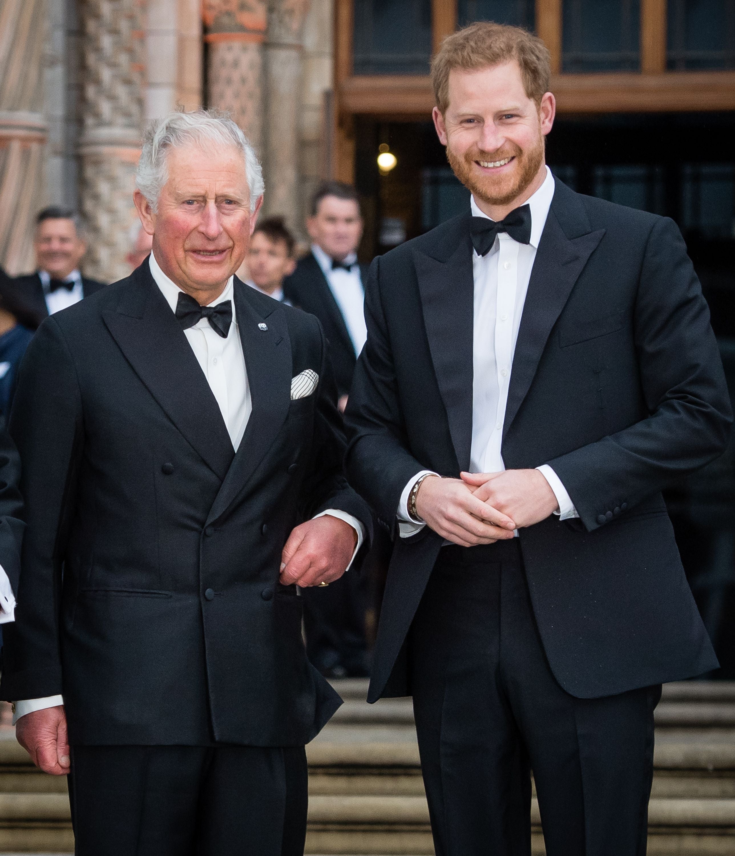 König Charles will Harry als Vertreter ersetzen