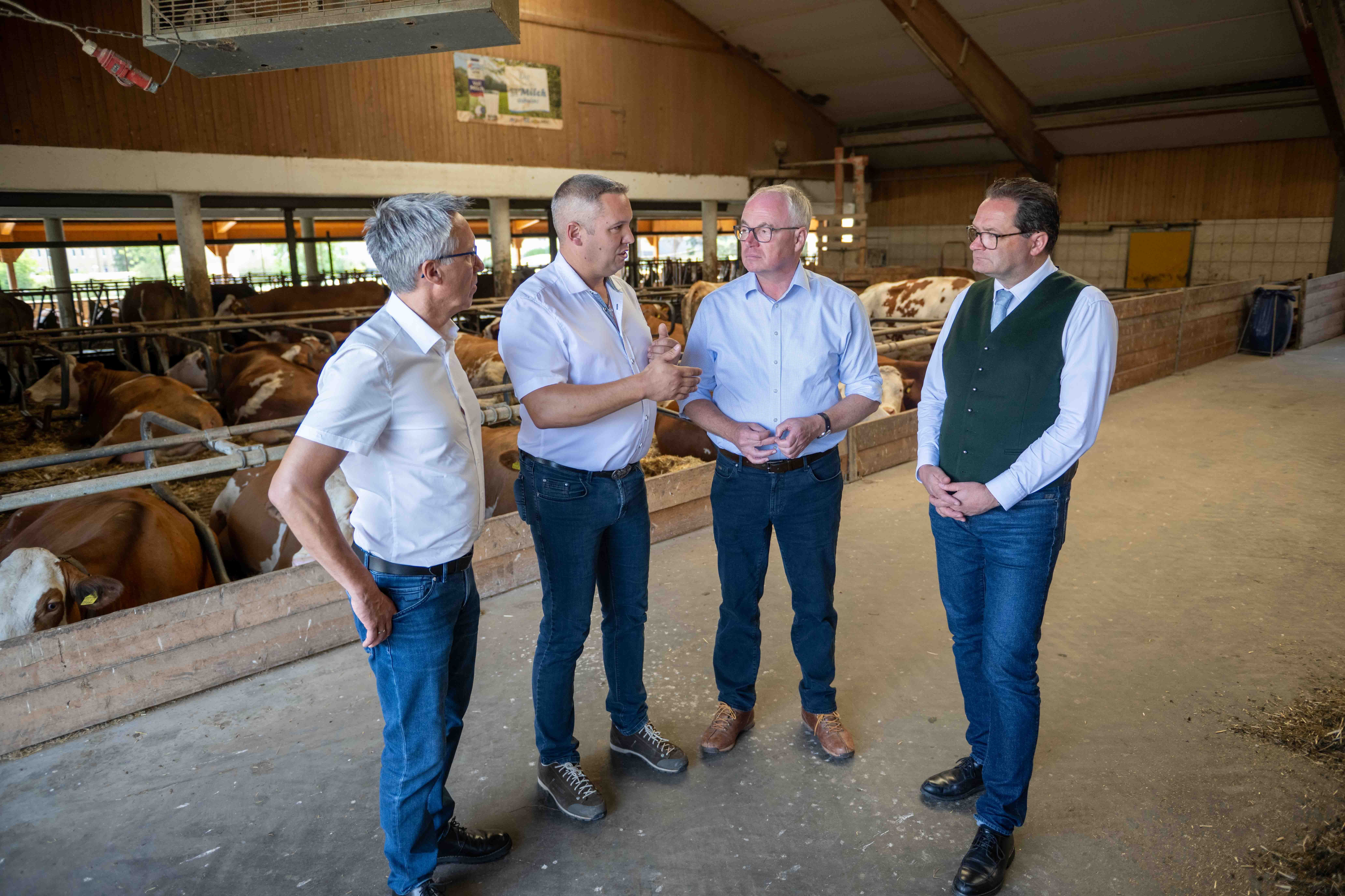 Landwirtschaftsminister Norbert Totschnig, Landeshauptfrau-Stellvertreter Stephan Pernkopf, Nationalratsabgeordneter Georg Strasser und Milchbauer Rudolf Buchner in Traisen im Bezirk Lilienfeld.