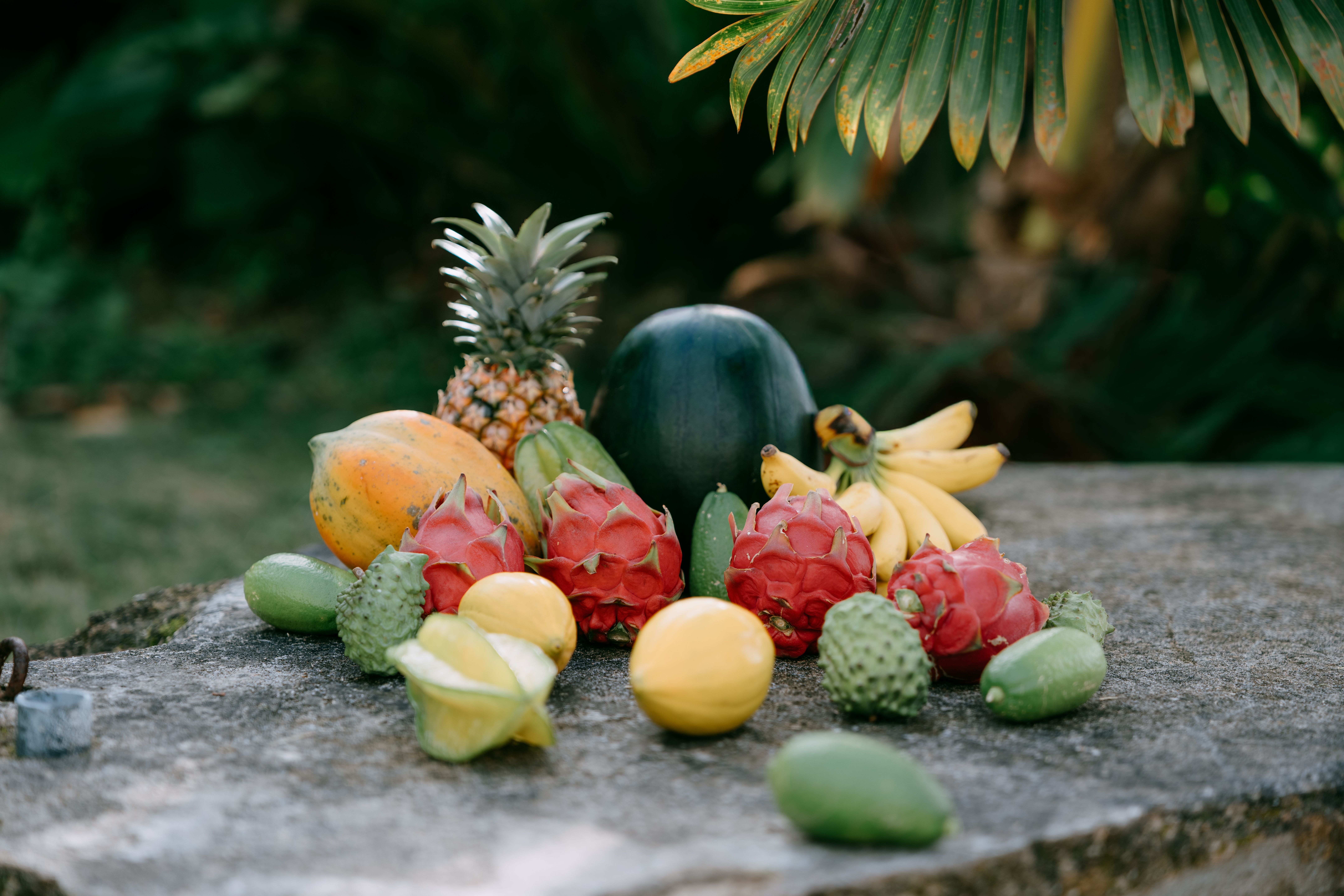 Verschiedene tropische Früchte, darunter Ananas, Banane, Drachenfrucht und Wassermelone.
