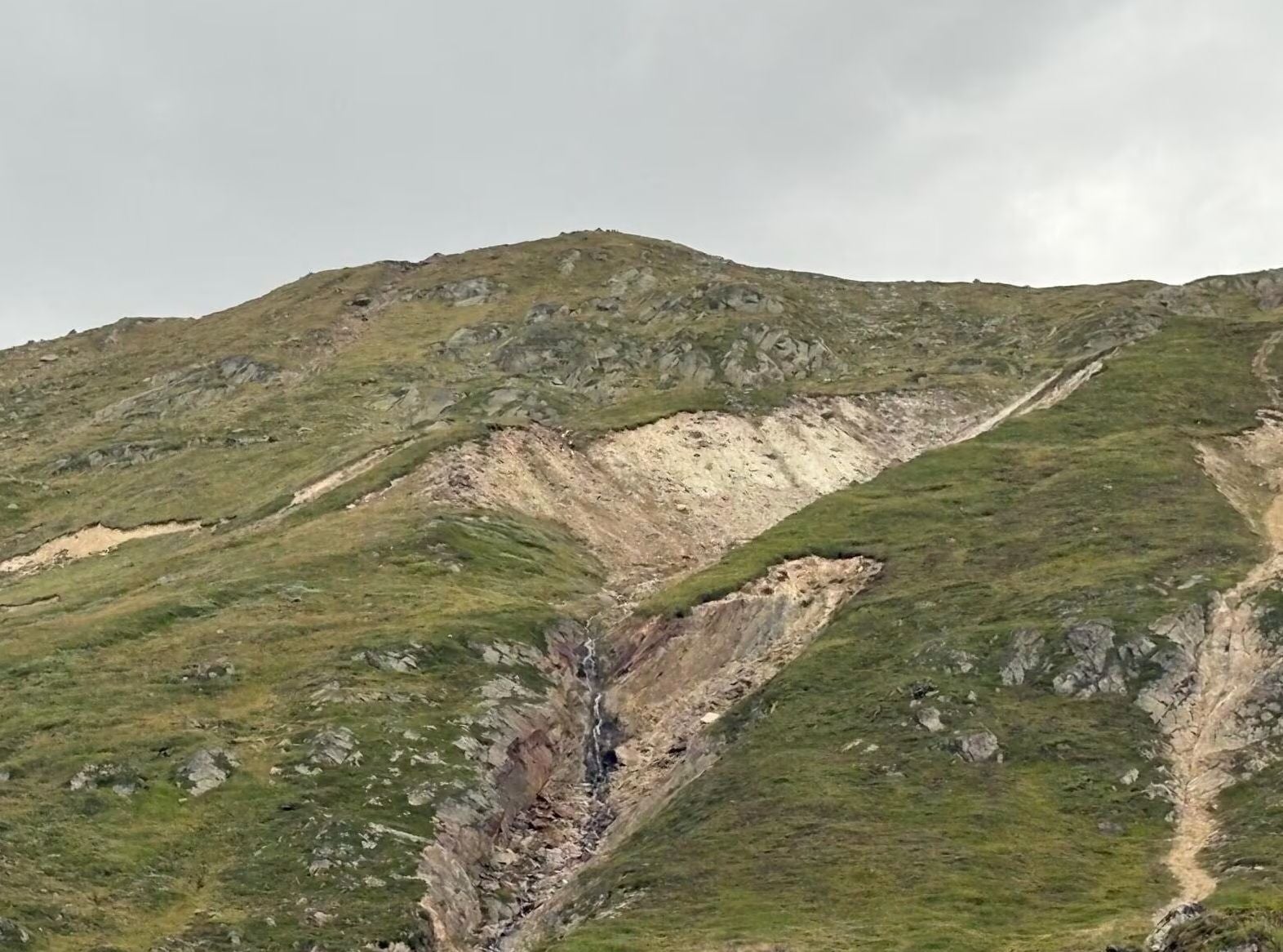 Ein Hang mit Erdrutschspuren und kleinen Felsen unter bewölktem Himmel.