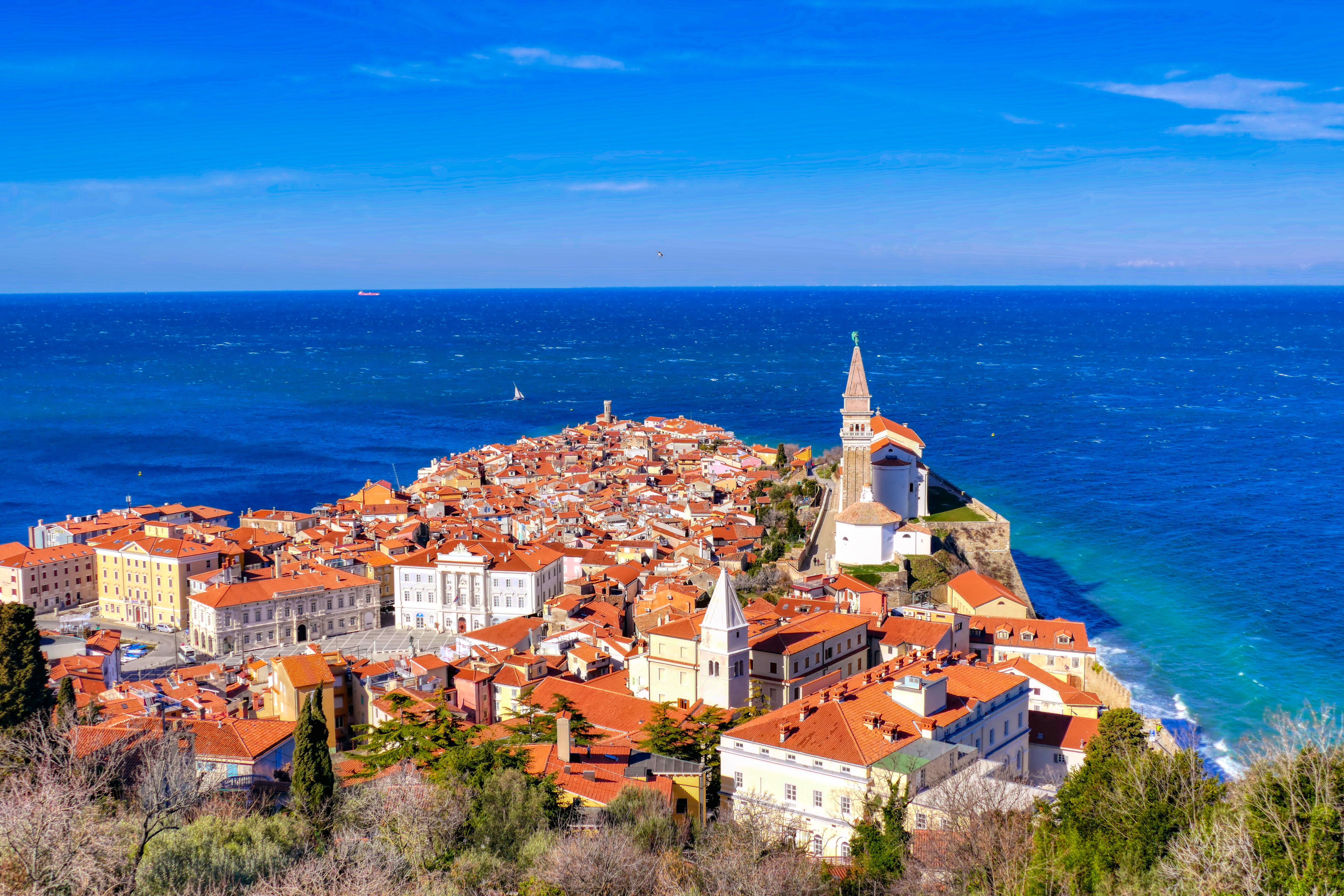 Panoramablick auf die Altstadt von Piran in Slowenien am blauen Meer.