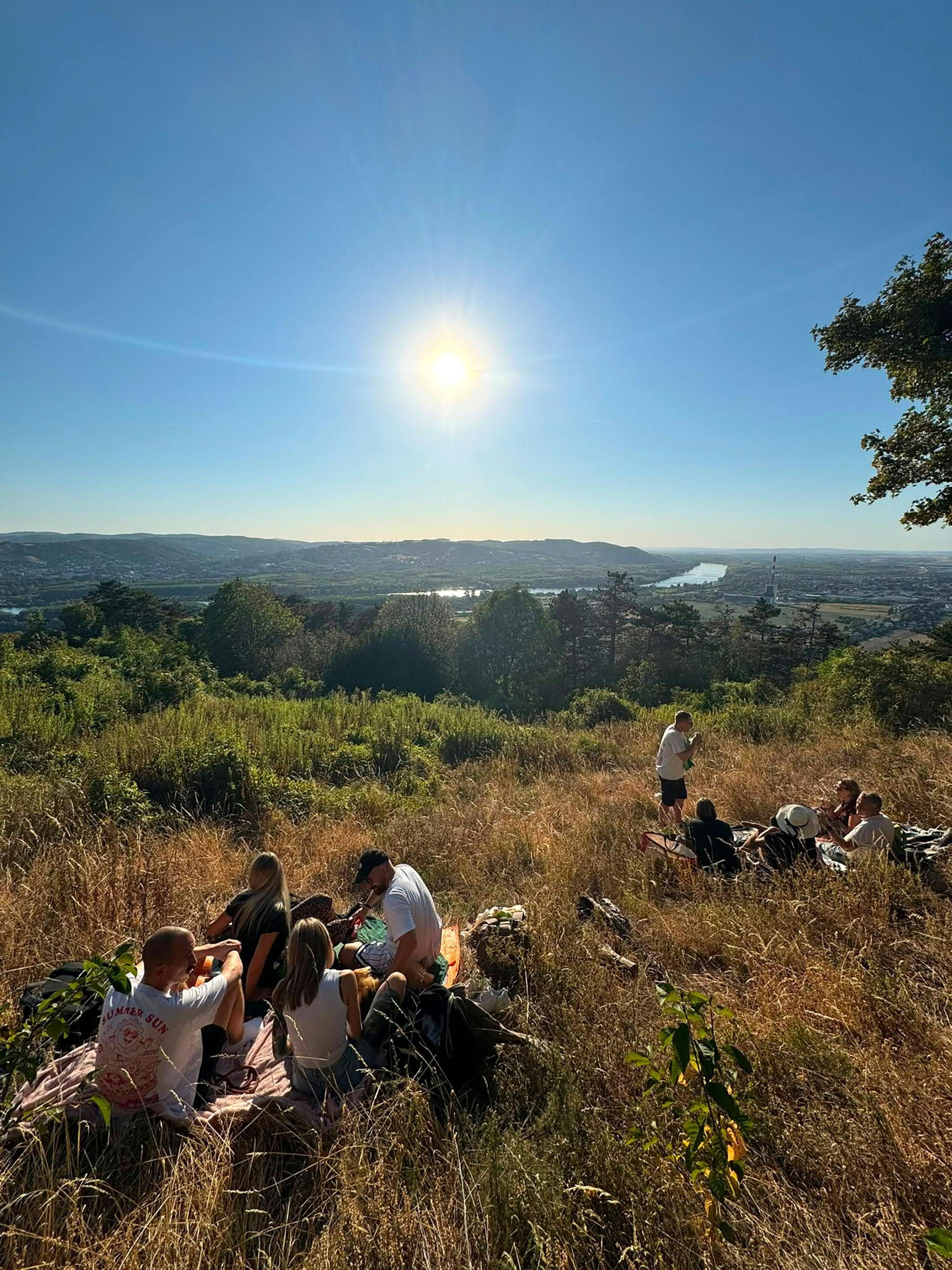 Menschen picknicken auf einer Wiese am Bisamberg unter der Sonne, Blick auf Landschaft und Donau.