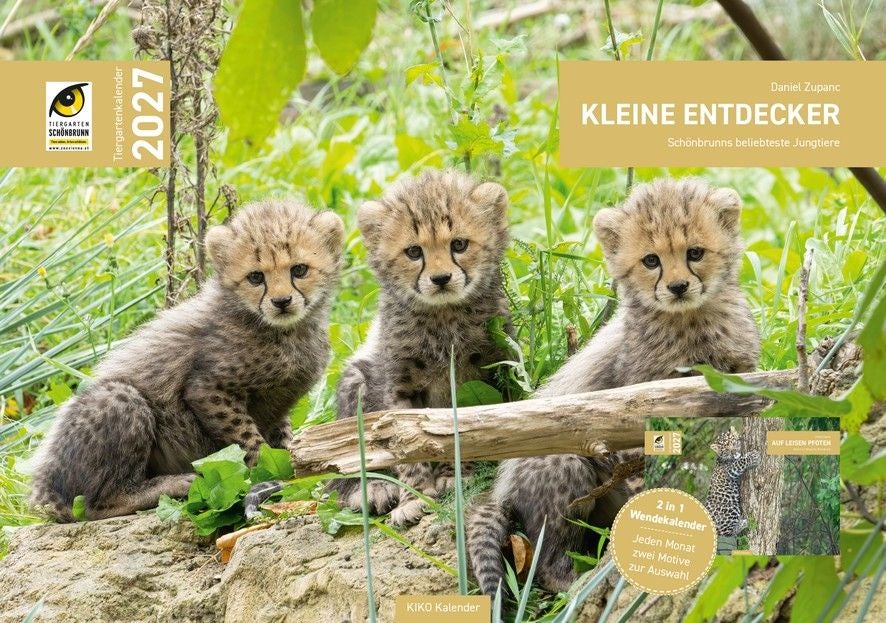Drei Gepardenbabys sitzen im Gras; Kalendercover Tiergarten Schönbrunn 2027.