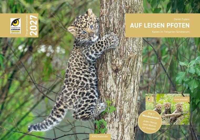 Ein Leopardenjunges klettert an einem Baum im Grünen, Tiergartenkalender Schönbrunn 2027.