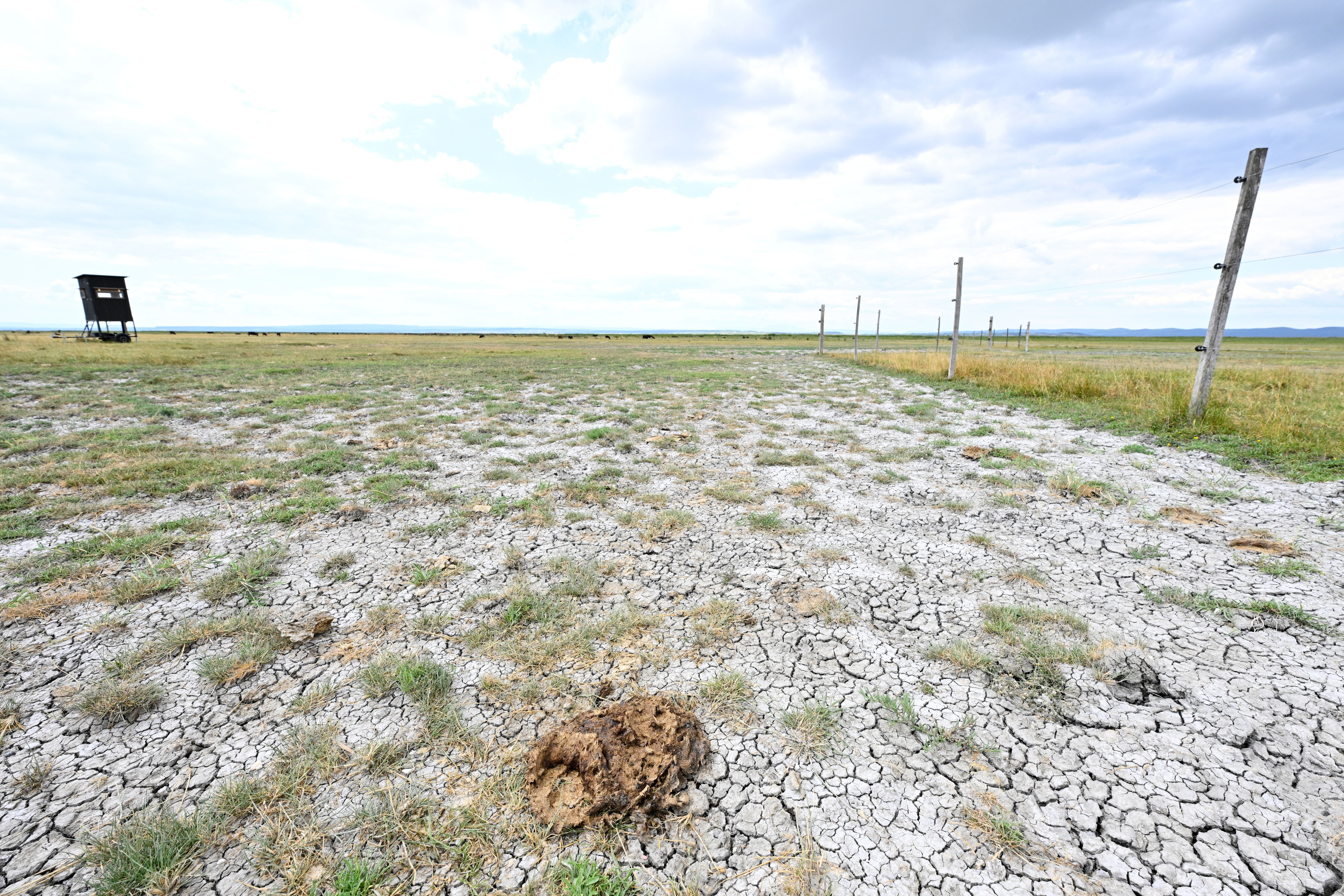 Trockene, rissige Graslandschaft mit Zaun und Beobachtungsturm im Nationalpark Neusiedler See.
