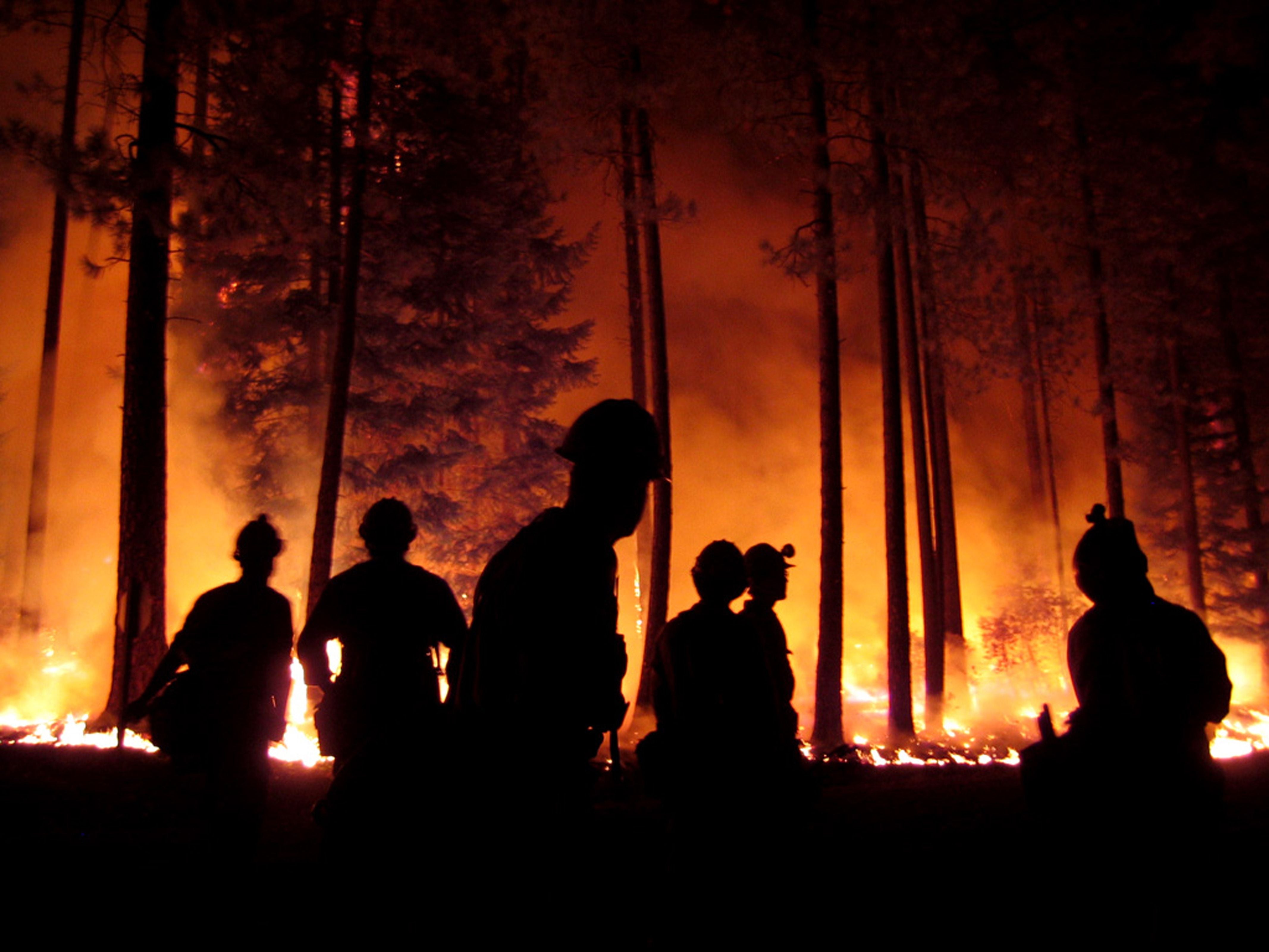 Silhouetten von Menschen stehen nachts vor einem brennenden Wald mit hohen Flammen.