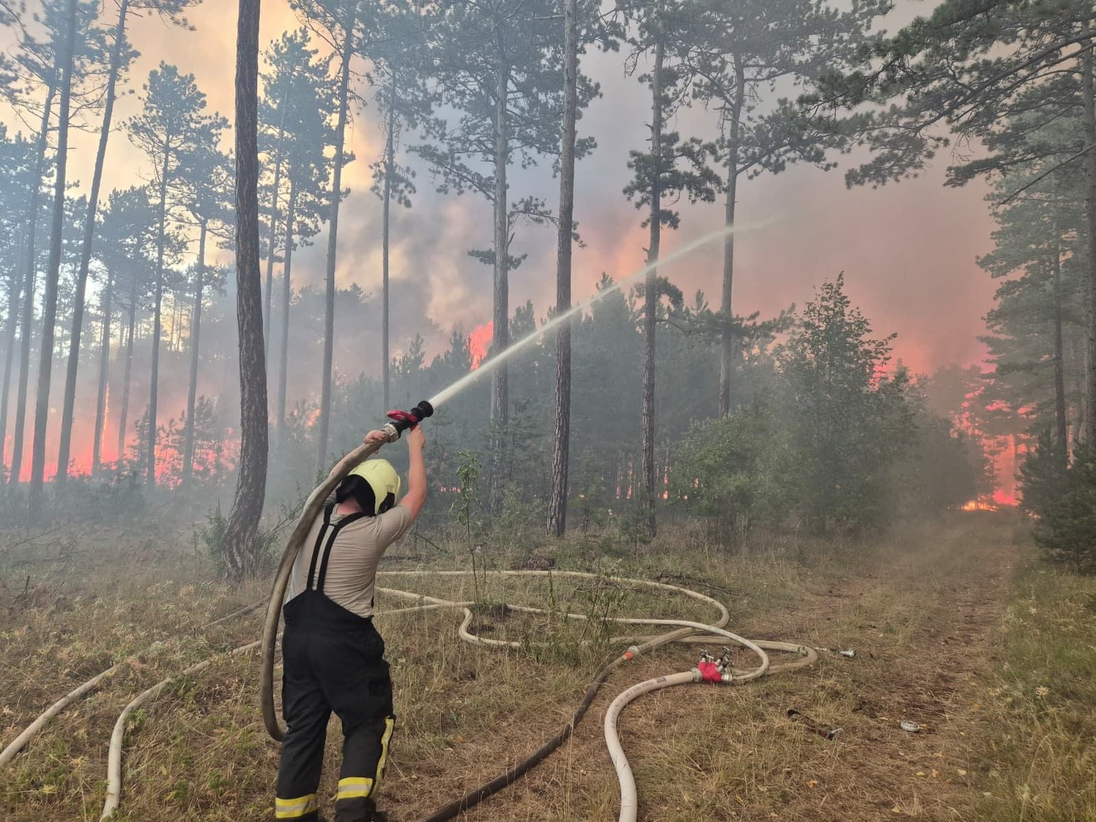 Einsatzkräfte der Feuerwehr bei der Bekämpfung des Brandes.