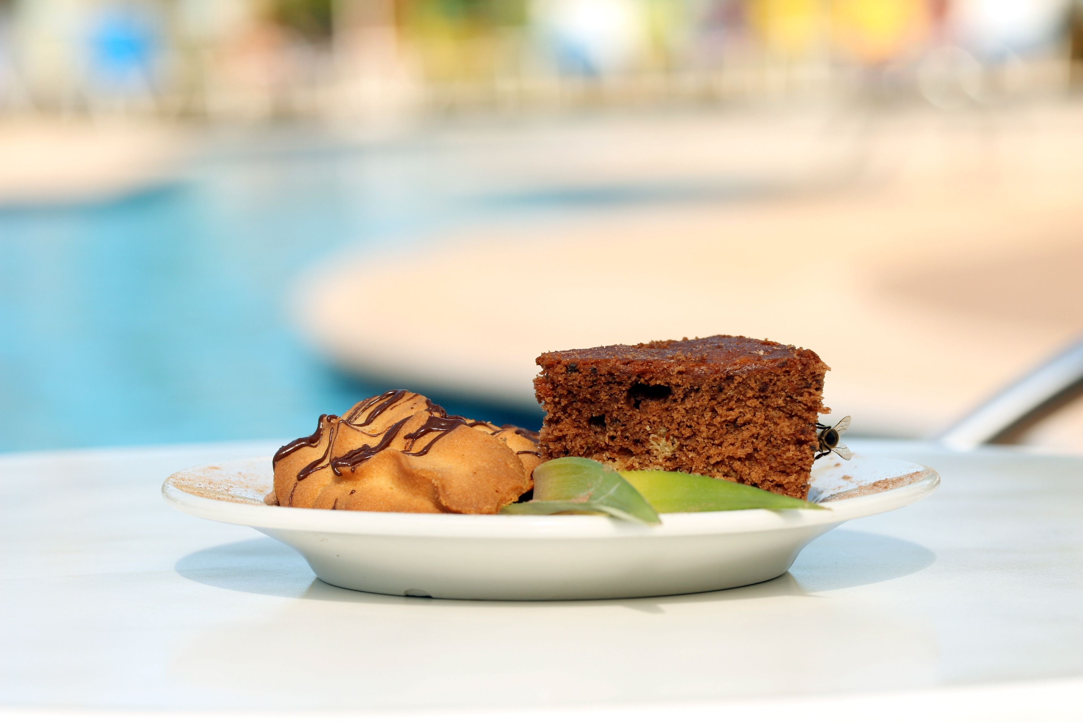 Ein Stück Kuchen, ein Keks und eine Wespe auf einem weißen Teller am Pool.
