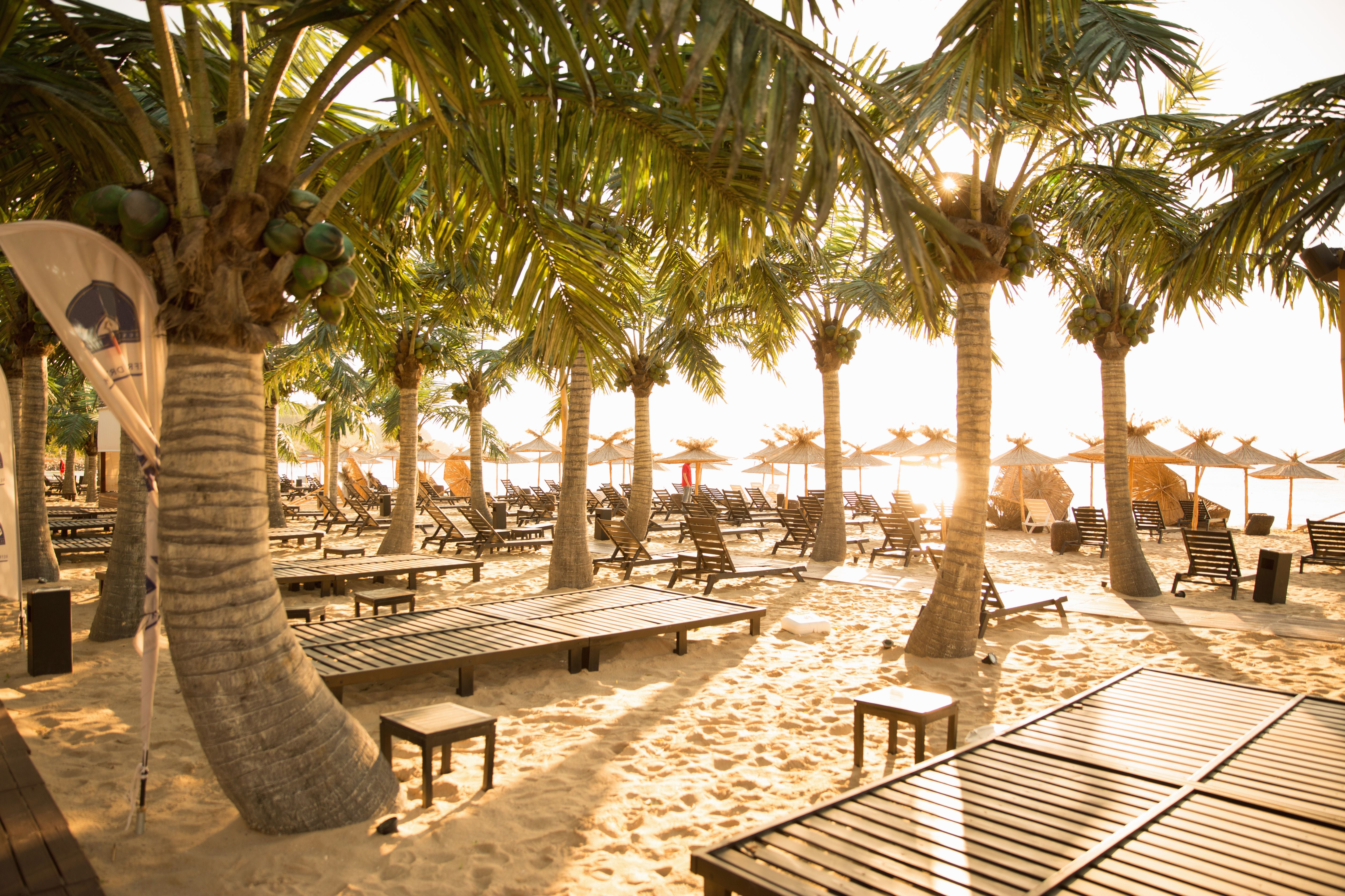 Palmen, Sonnenliegen und Sonnenschirme am Sandstrand von Varna bei Sonnenuntergang.