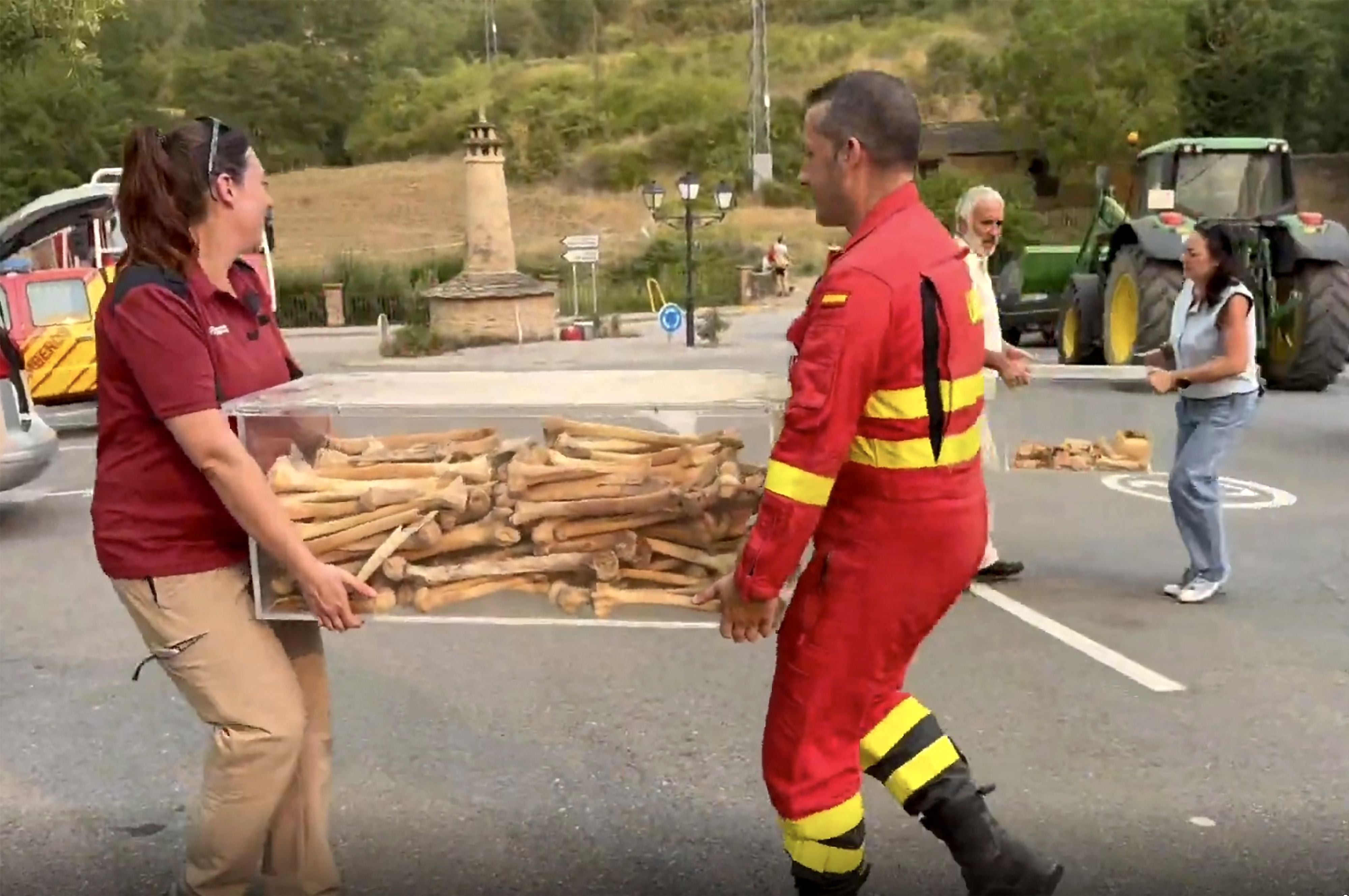 Feuerwehrleute tragen eine große Kiste mit alten Knochen auf einer Straße im Freien.