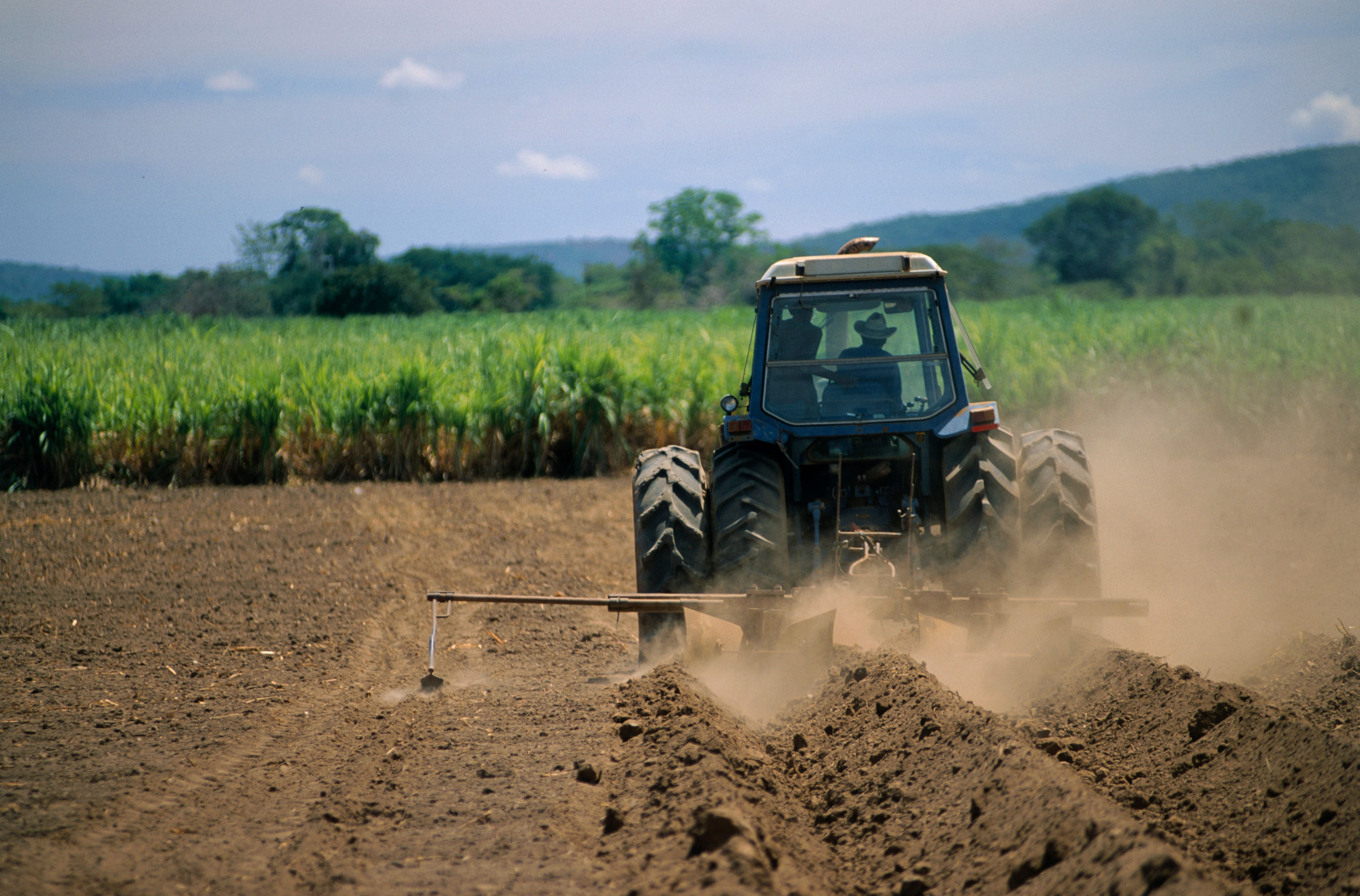 Ein Traktor pflügt ein staubiges Feld vor einem grünen Maisfeld und Hügeln im Hintergrund.