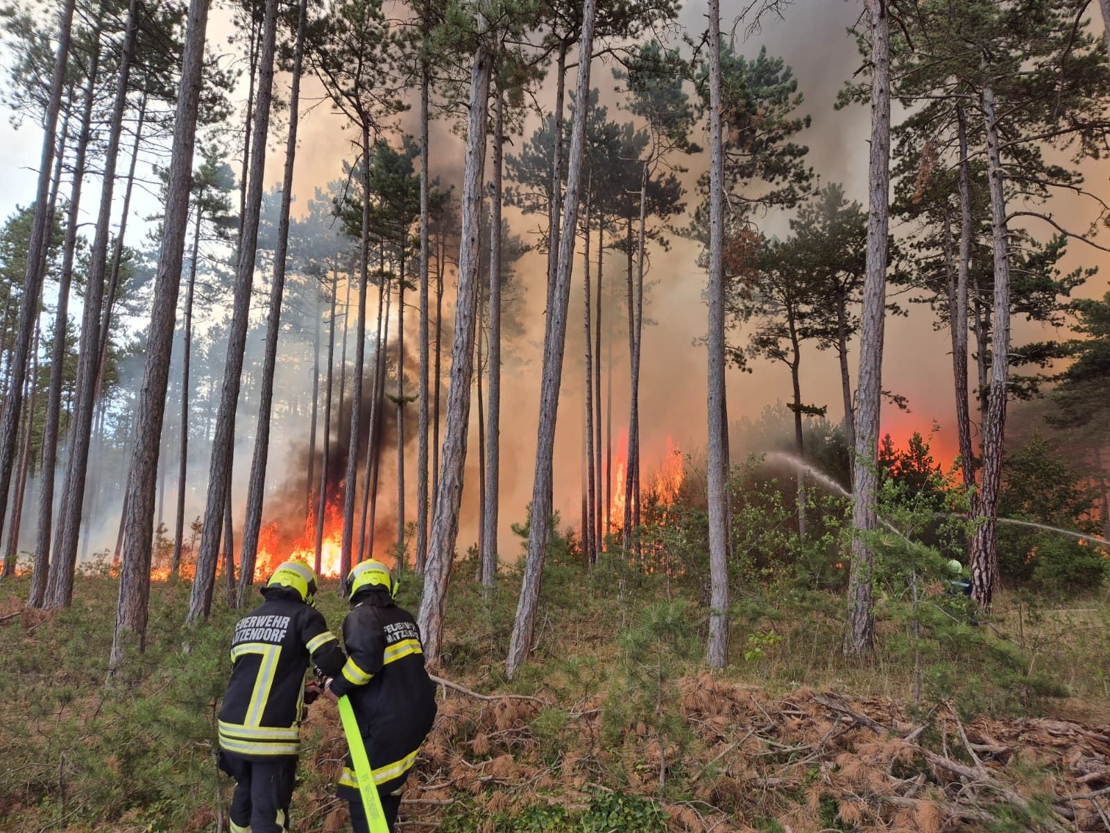 Im Föhrenwald in St. Egyden am Steinfeld (Bezirk Neunkirchen) ist am Freitag erneut ein Brand ausgebrochen. Zahlreiche Feuerwehren rückten aus. Im Bild: Einsatzkräfte der Feuerwehr bei der Bekämpfung des Brandes am Freitag.