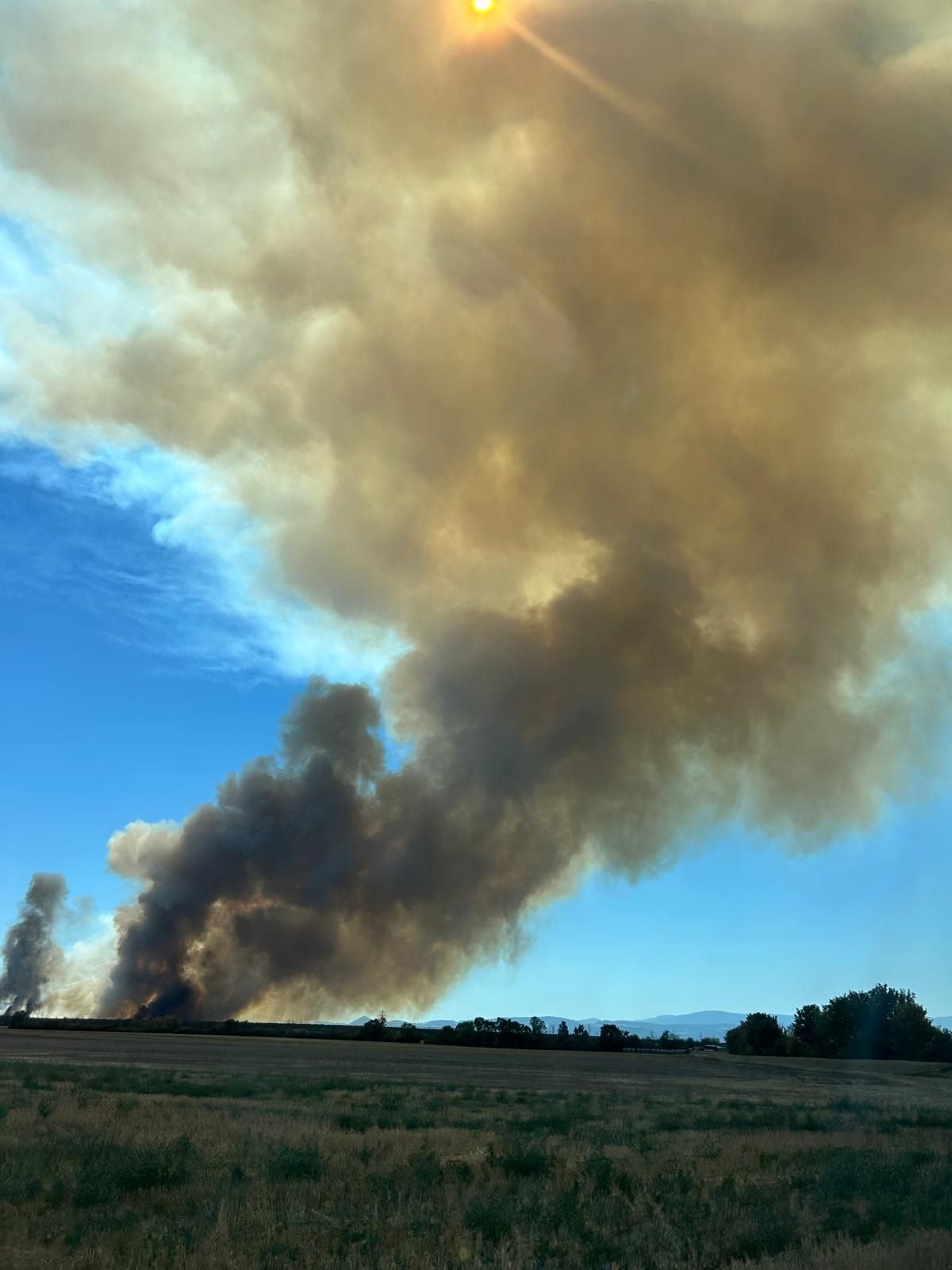 Dichter Rauch steigt von einem Brand im Führenwald über einem Feld in den Himmel auf.