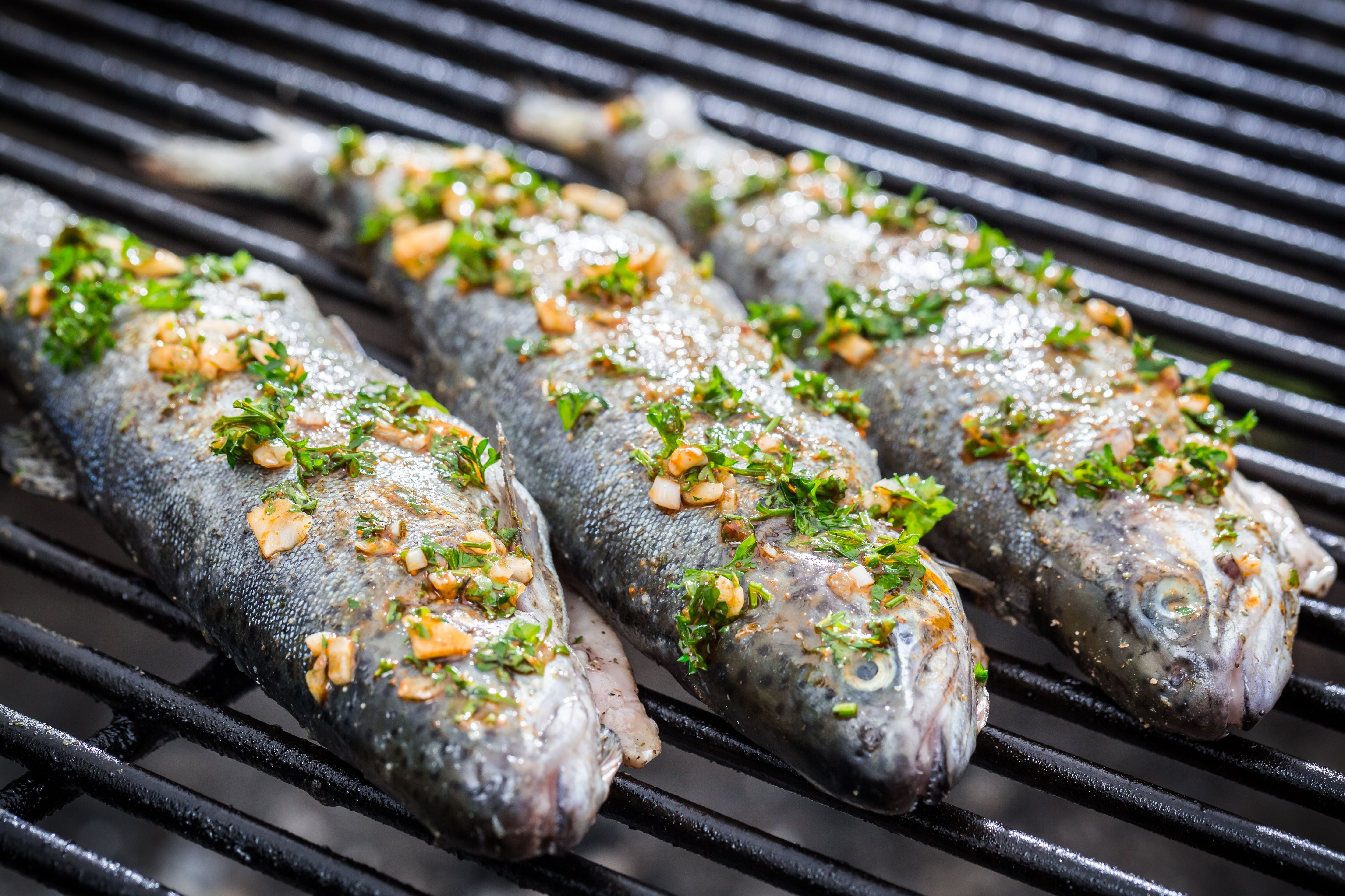 Drei gewürzte Fische mit Kräutern und Zwiebeln liegen auf einem Grillrost.