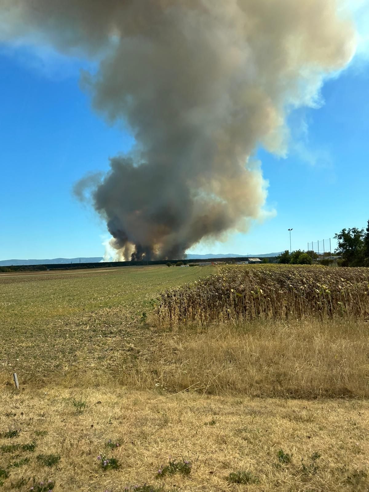 Große Rauchwolke steigt über einem brennenden Feld am Waldrand in Führenwald auf.