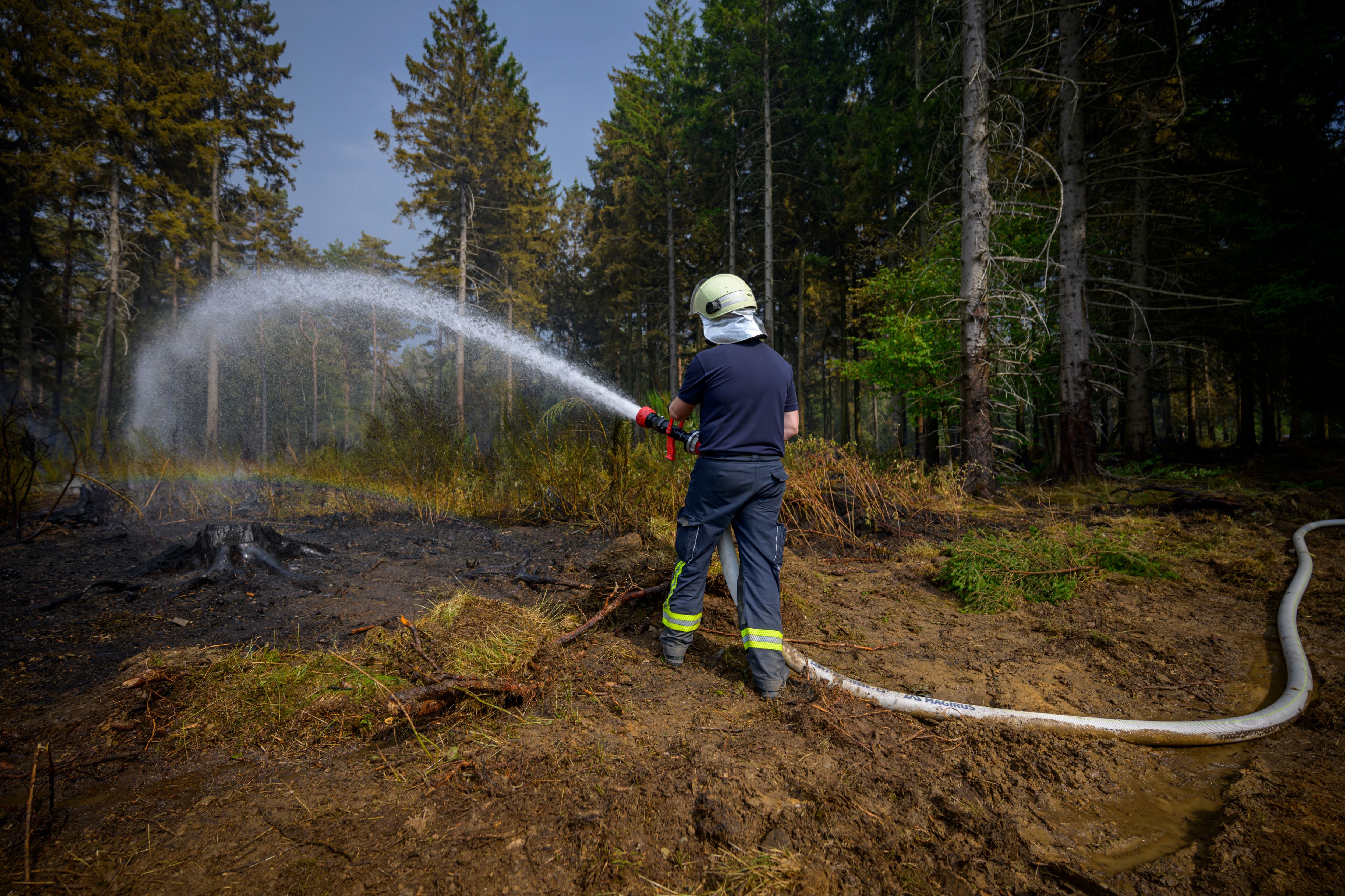 Ein Feuerwehrmann löscht mit einem Wasserschlauch Glutnester im verkohlten Waldgebiet.