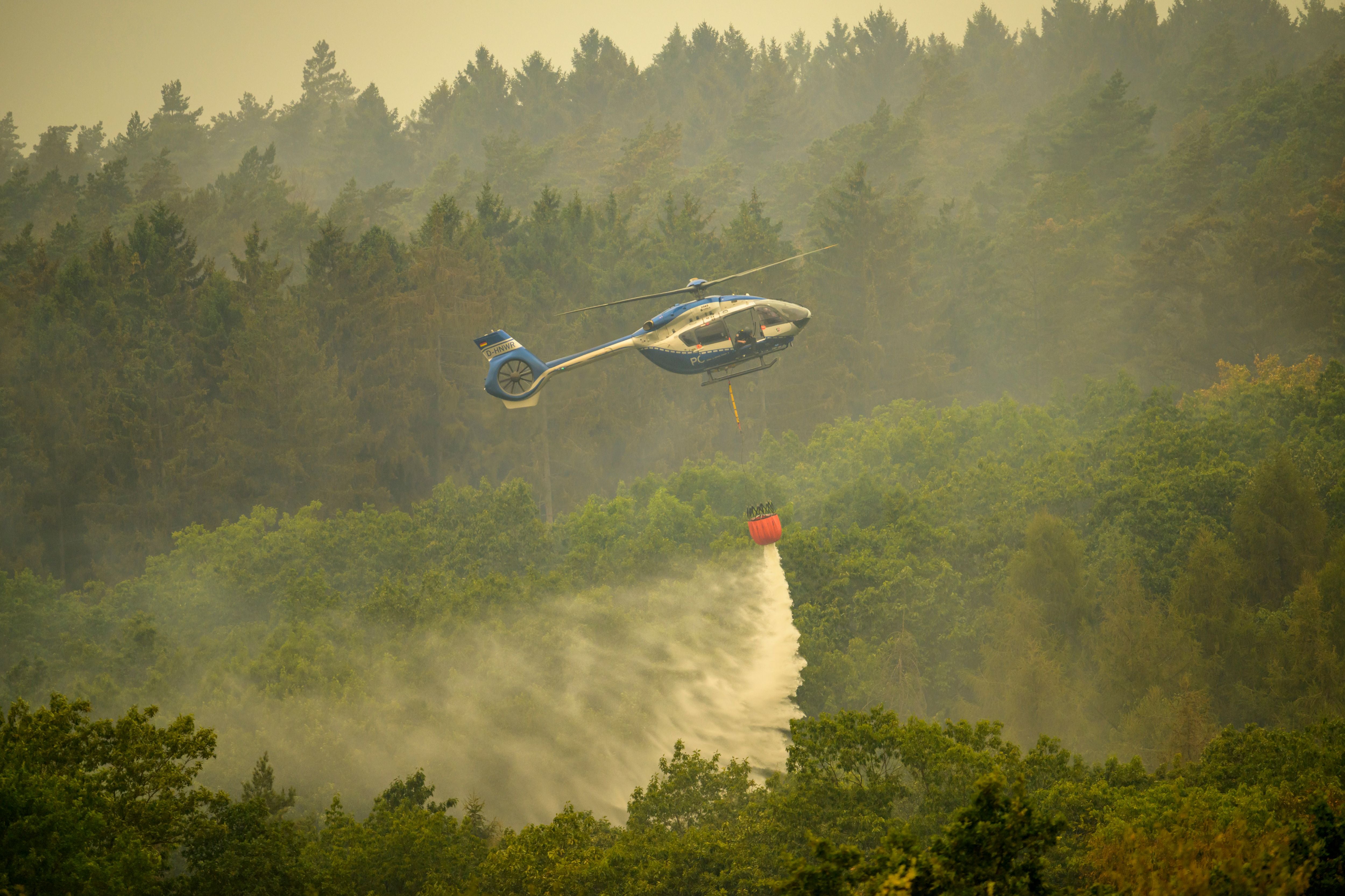 Ein Helikopter löscht einen Waldbrand, indem er Wasser über einem brennenden Wald abwirft.