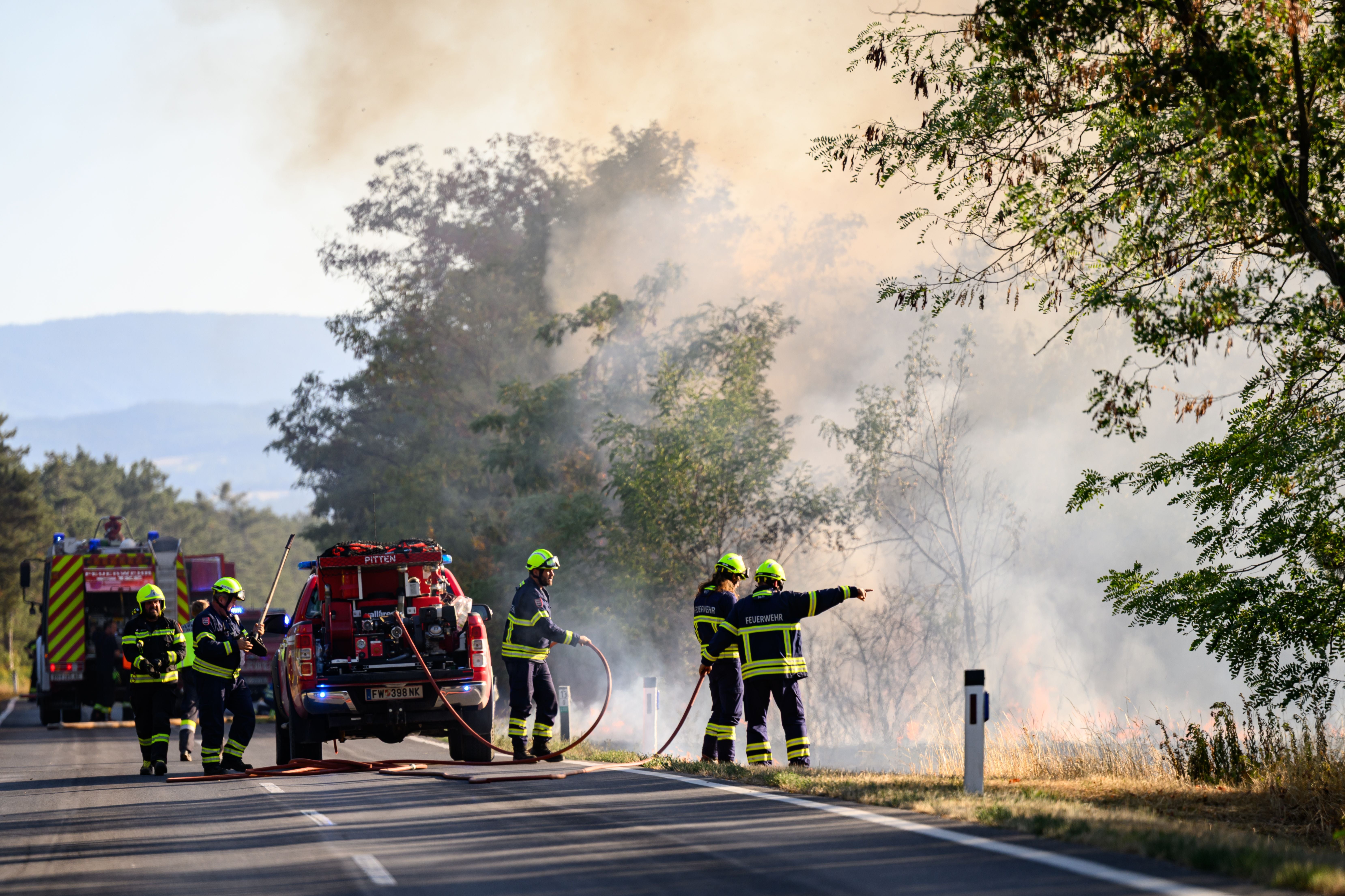 Mehrere Feuerwehrleute bekämpfen einen Waldbrand am Straßenrand, dichter Rauch steigt auf.