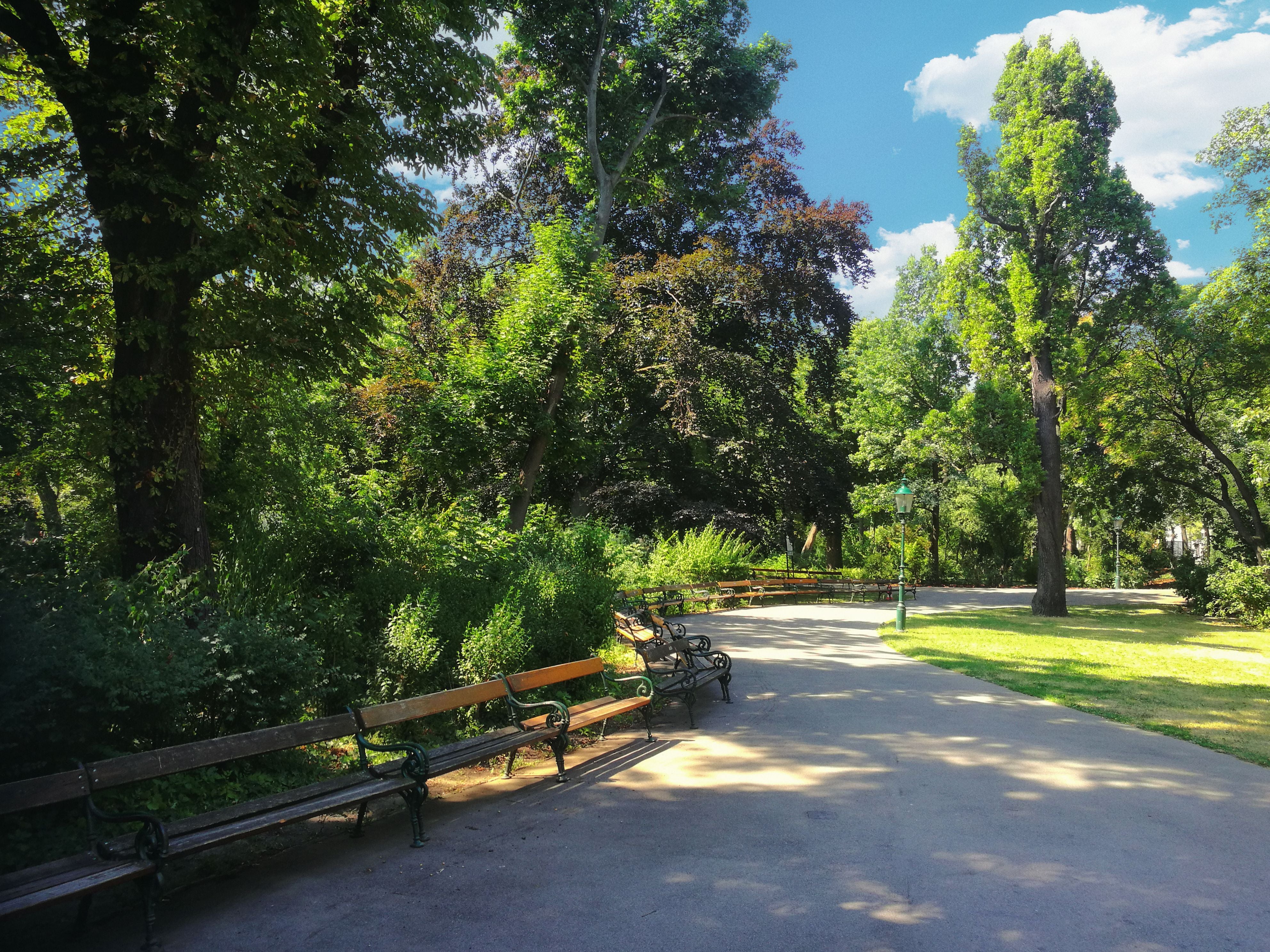 Sonniger Weg mit Parkbänken und viel Grün in einem Wiener Park.