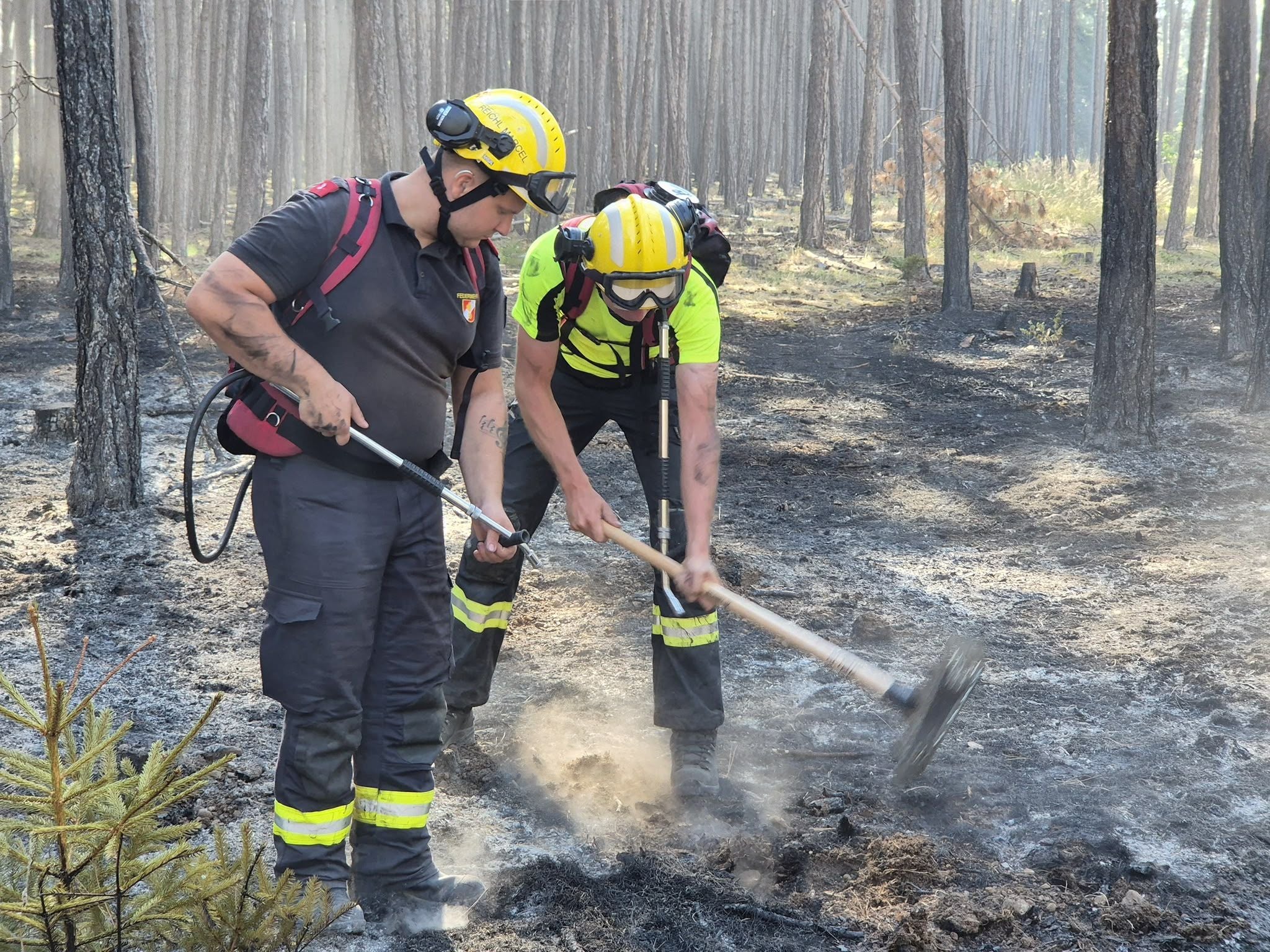 Zwei Feuerwehrleute bekämpfen einen Waldbrand und bearbeiten den Waldboden mit Werkzeugen.