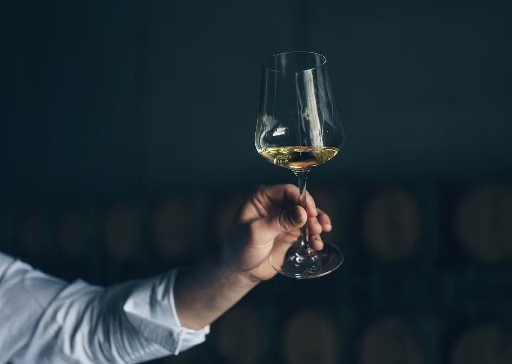 Hand hält ein Weinglas mit Weißwein vor dunklem Hintergrund.