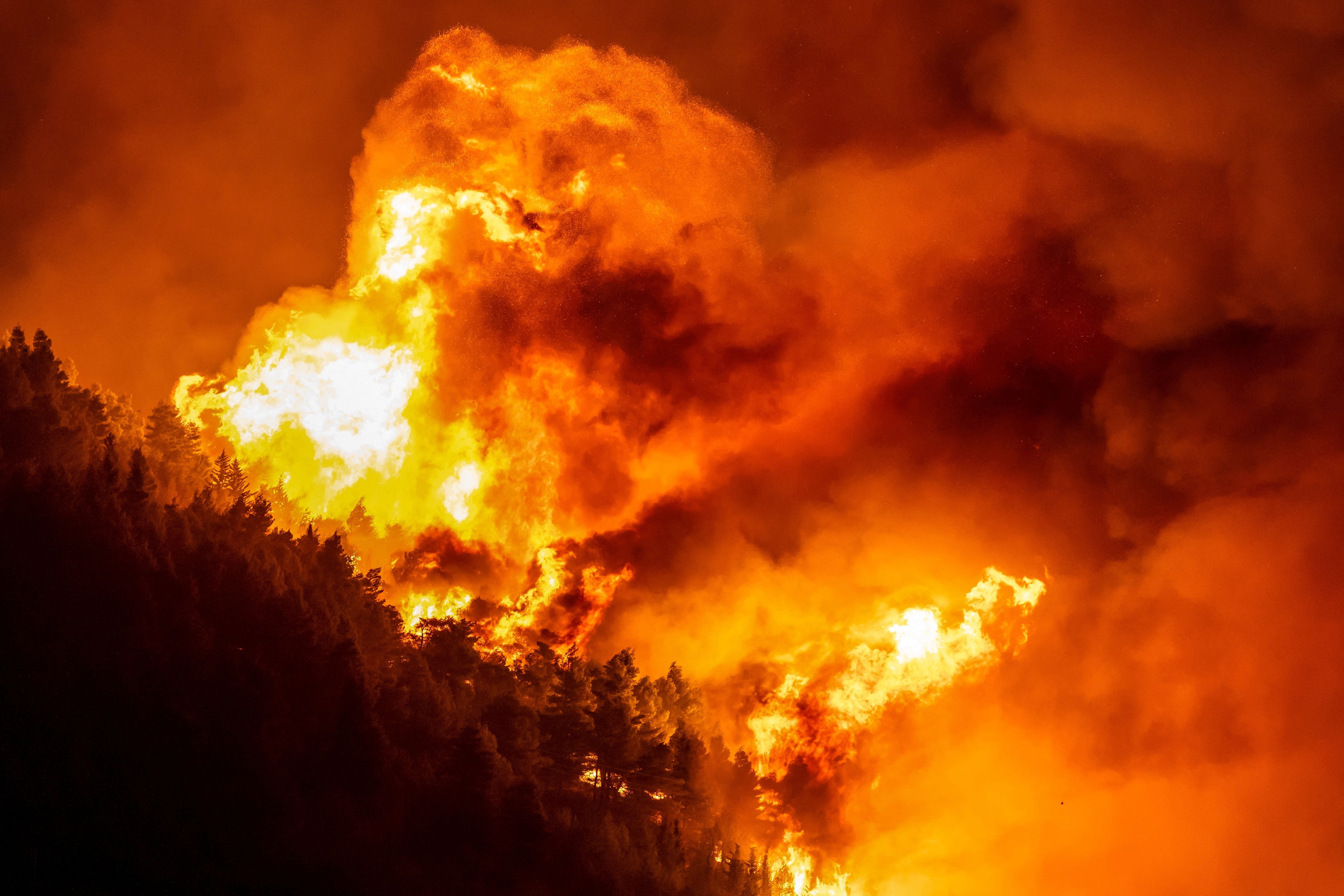 Großes Waldgebiet wird von einem massiven, lodernden Flammenmeer bei Nacht zerstört.