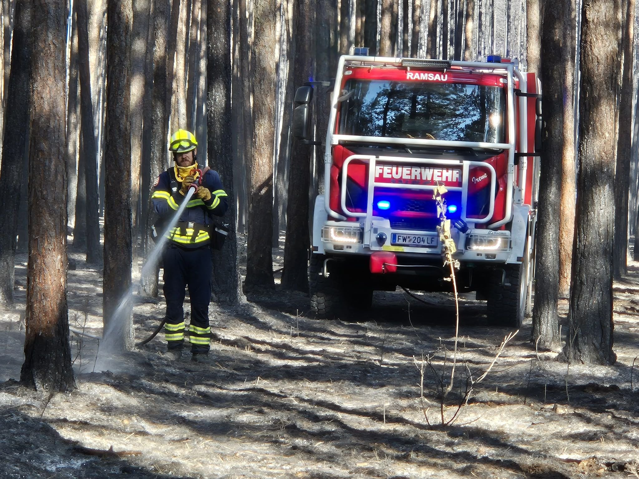 Ein Feuerwehrmann löscht mit einem Schlauch Glutnester im verkohlten Wald, dahinter ein Feuerwehrauto.