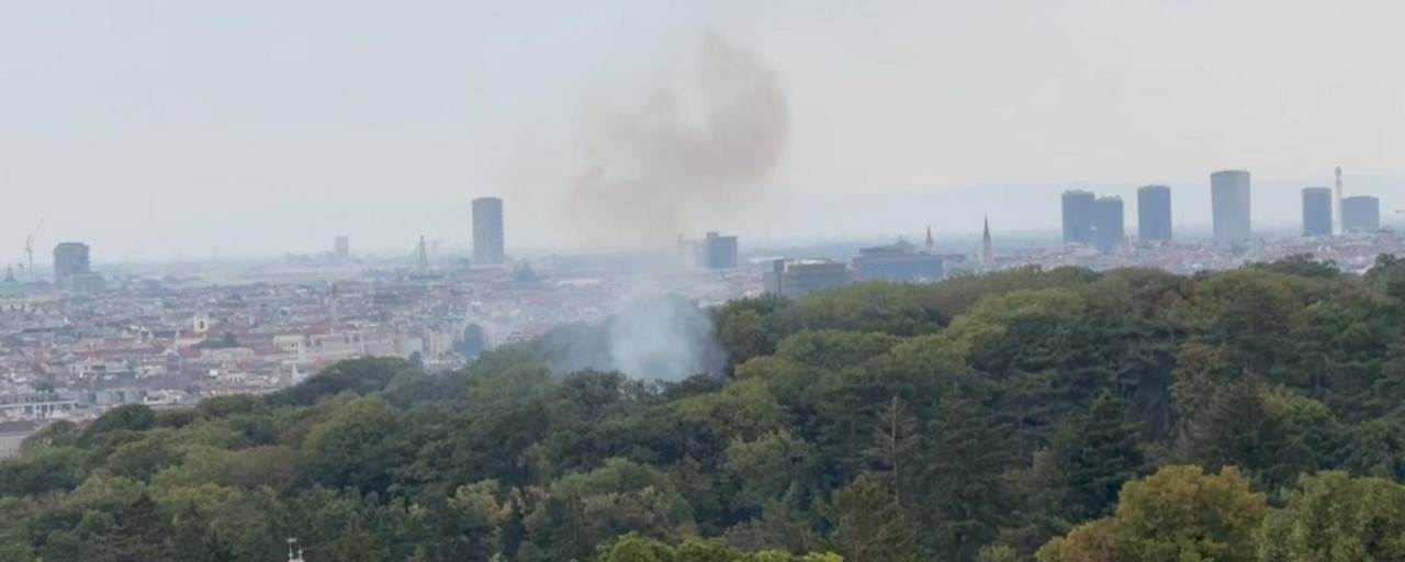 Rauch steigt aus einem bewaldeten Gebiet vor einer Stadt mit Hochhäusern auf.