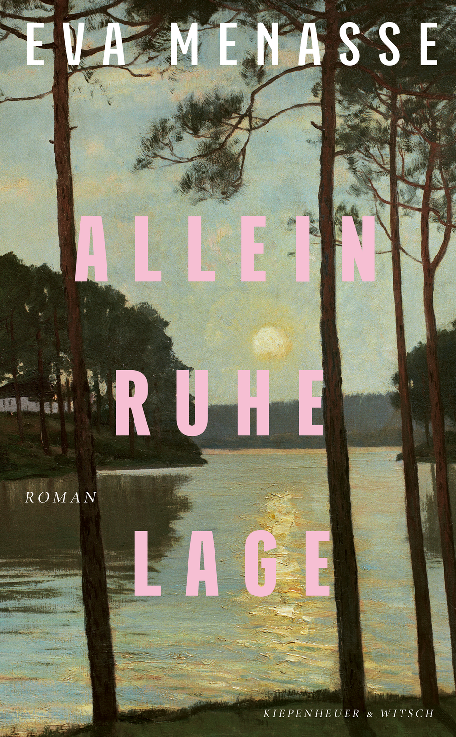 Buchcover mit See, Bäumen und dem Titel "Allein, Ruhe, Lage" von Eva Menasse.