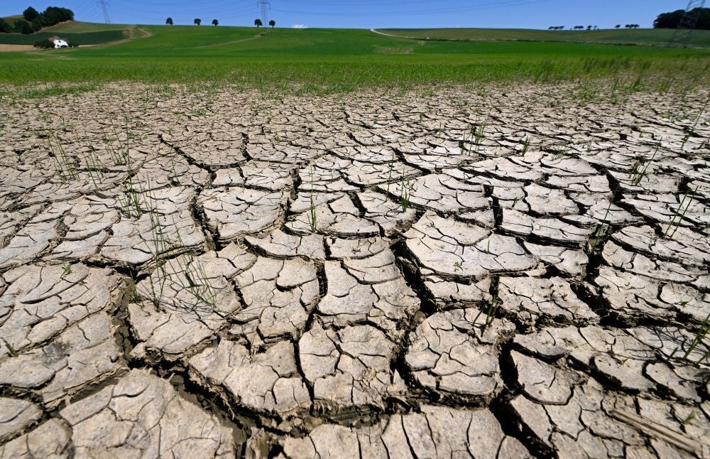 Ausgetrockneter, rissiger Boden auf einem Feld, im Hintergrund grüne Wiese und Hügel.