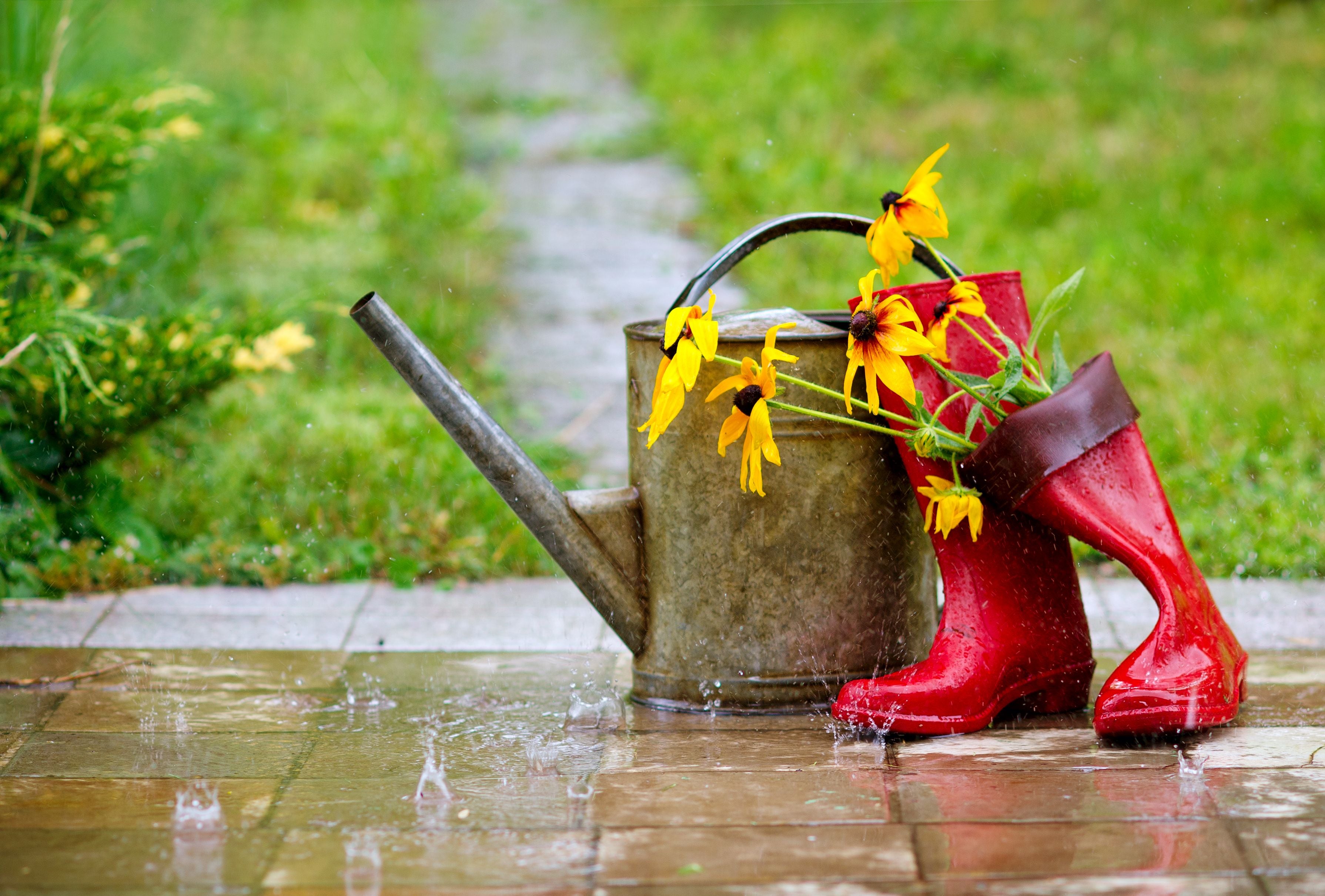 Rote Gummistiefel, eine Gießkanne und gelbe Blumen im Regen auf einer Gartenplatte.