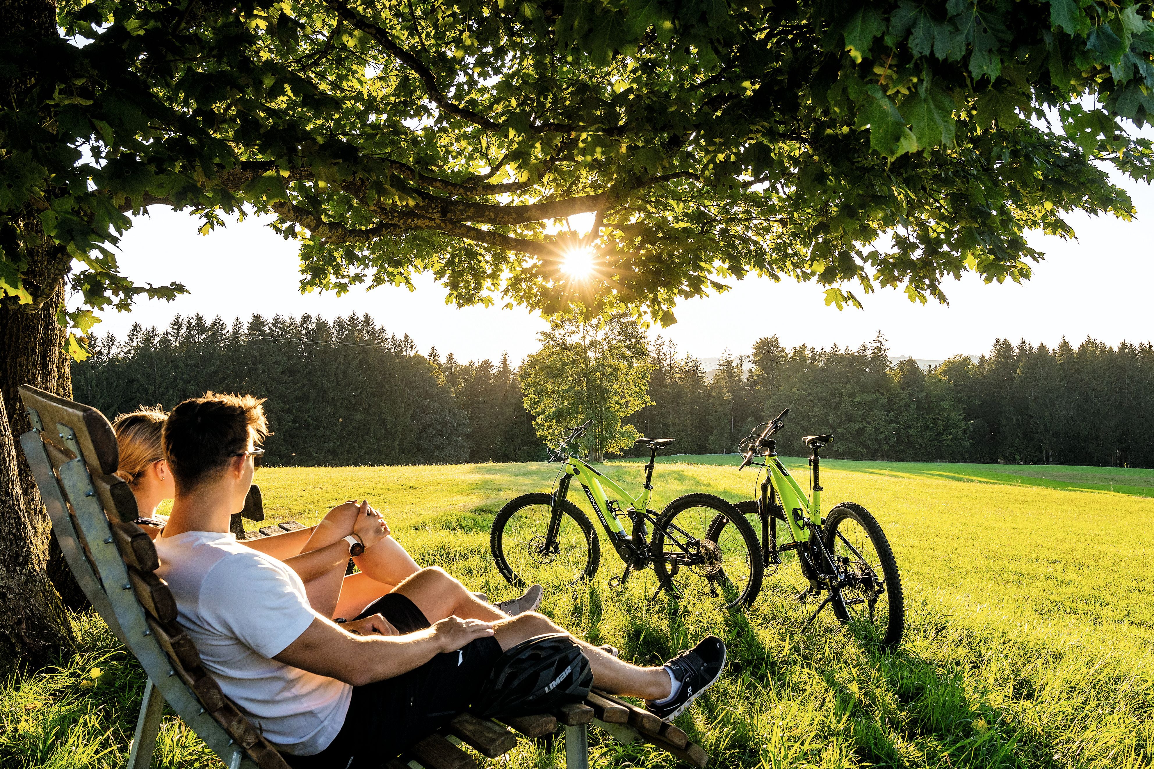Zwei Menschen entspannen auf einer Bank unter Bäumen, mit Mountainbikes auf einer Wiese.