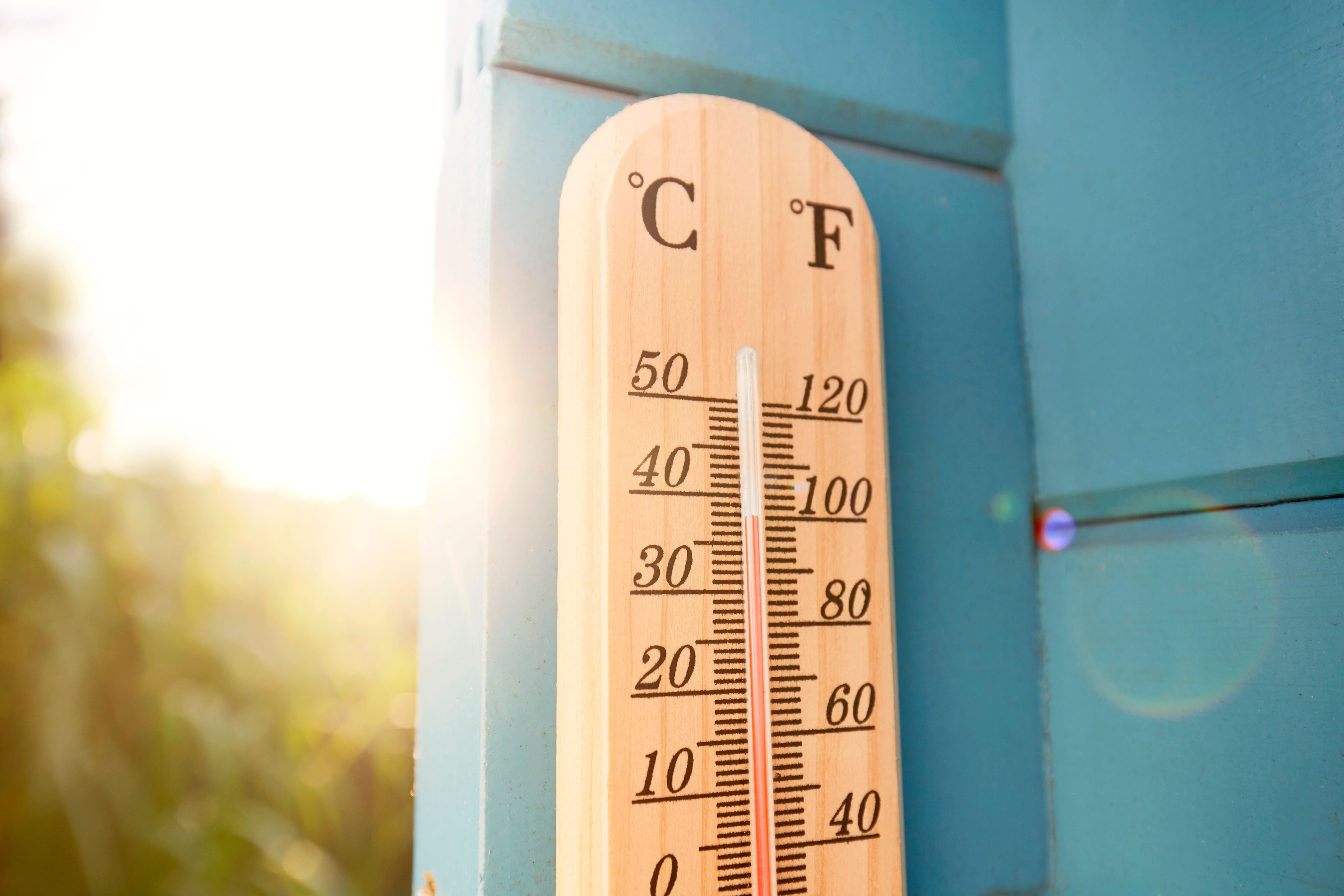 Holz-Thermometer zeigt knapp 40 Grad Celsius bei sonnigem Wetter an einer blauen Wand