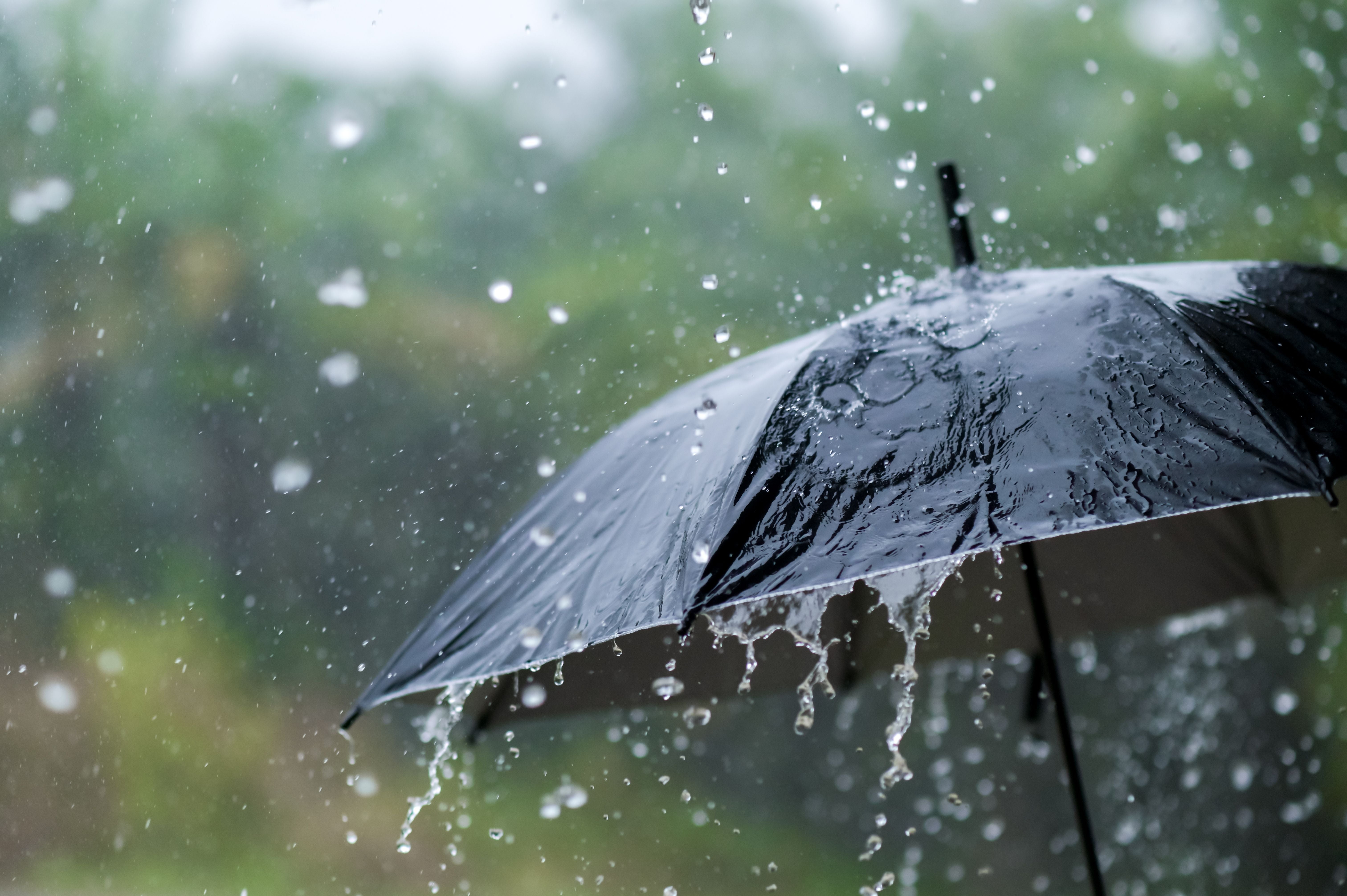 Ein schwarzer Regenschirm hält starken Regen ab, Wasser tropft von den Kanten.