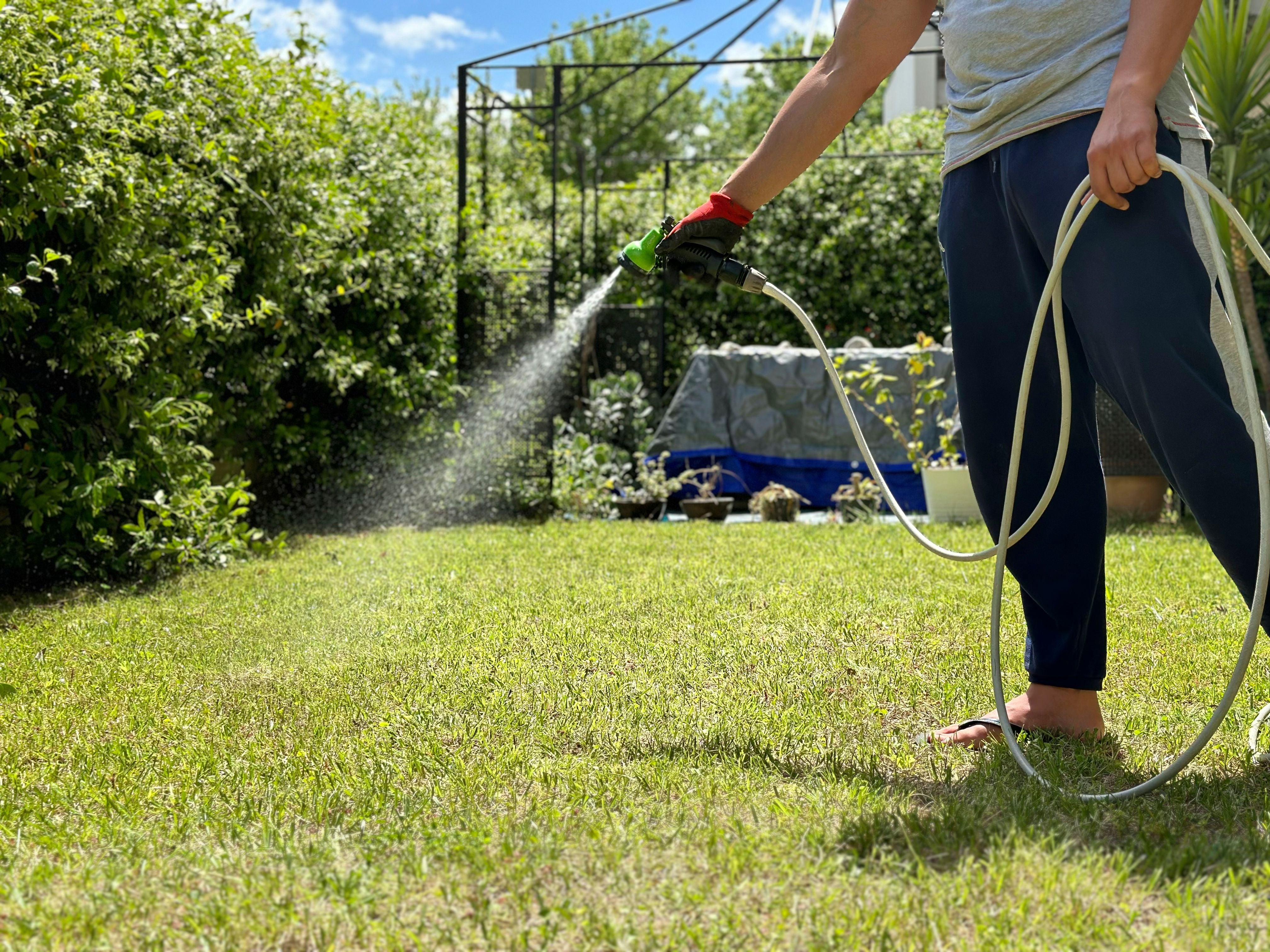 Ein Mann bewässert an einem sonnigen Tag den Rasen im Garten mit einem Gartenschlauch.