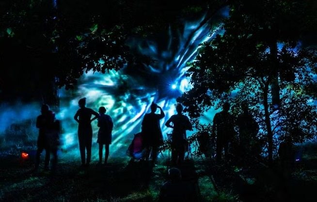 Schatten von Menschen vor einer leuchtenden, blauen Lichtinstallation im nächtlichen Wald.