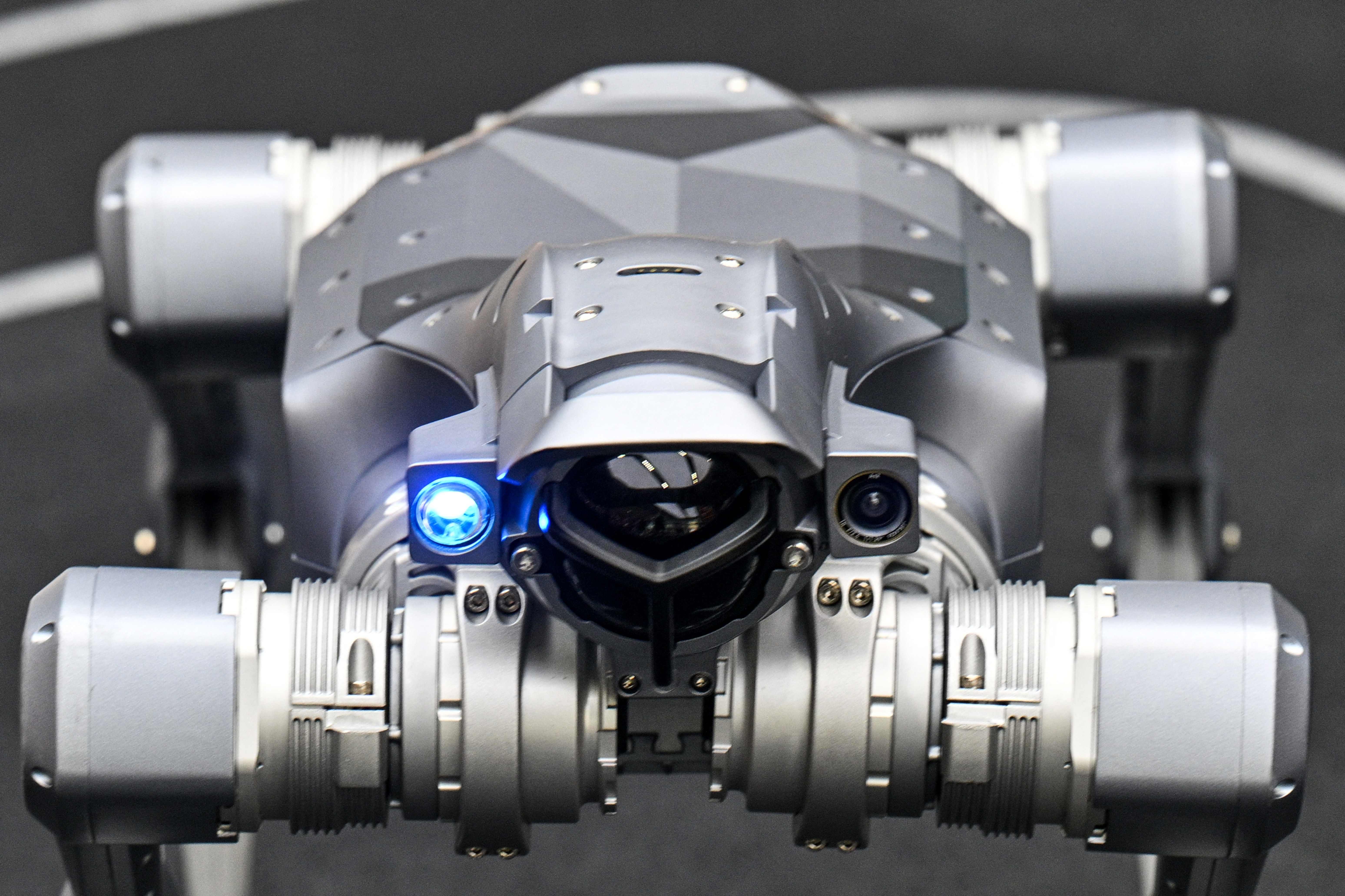 Ein silberner vierbeiniger Roboter mit Kameras und Leuchten von vorne aufgenommen.