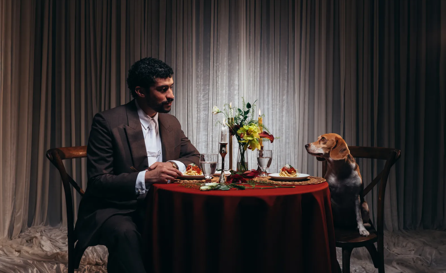 Ein Mann und ein Hund sitzen elegant an einem gedeckten Tisch und essen gemeinsam Spaghetti.