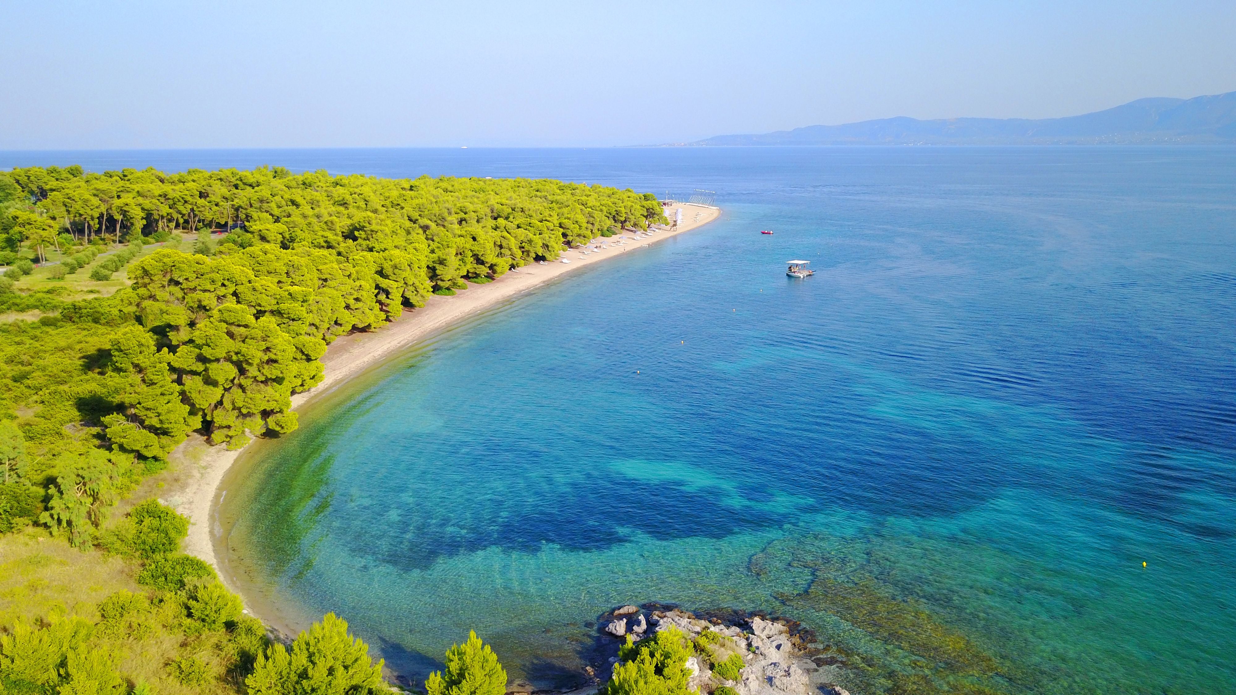 Luftaufnahme vom Strand Gregolimano mit klarem, türkisblauem Wasser und Pinienwald.