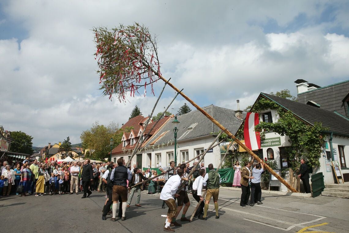 Männer stellen beim Neustifter Kirtag einen geschmückten Baum auf, viele Zuschauer sehen zu.