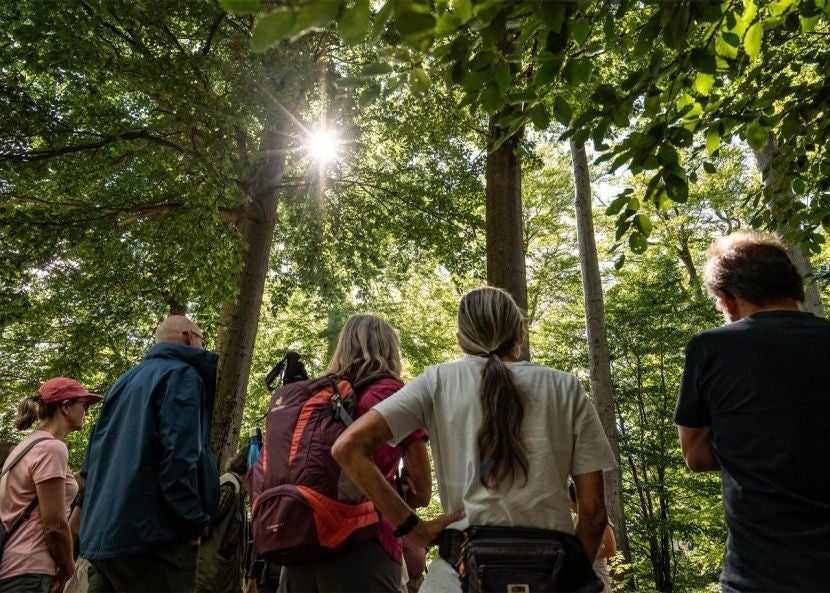 „Wald der Zukunft"-Führungen.