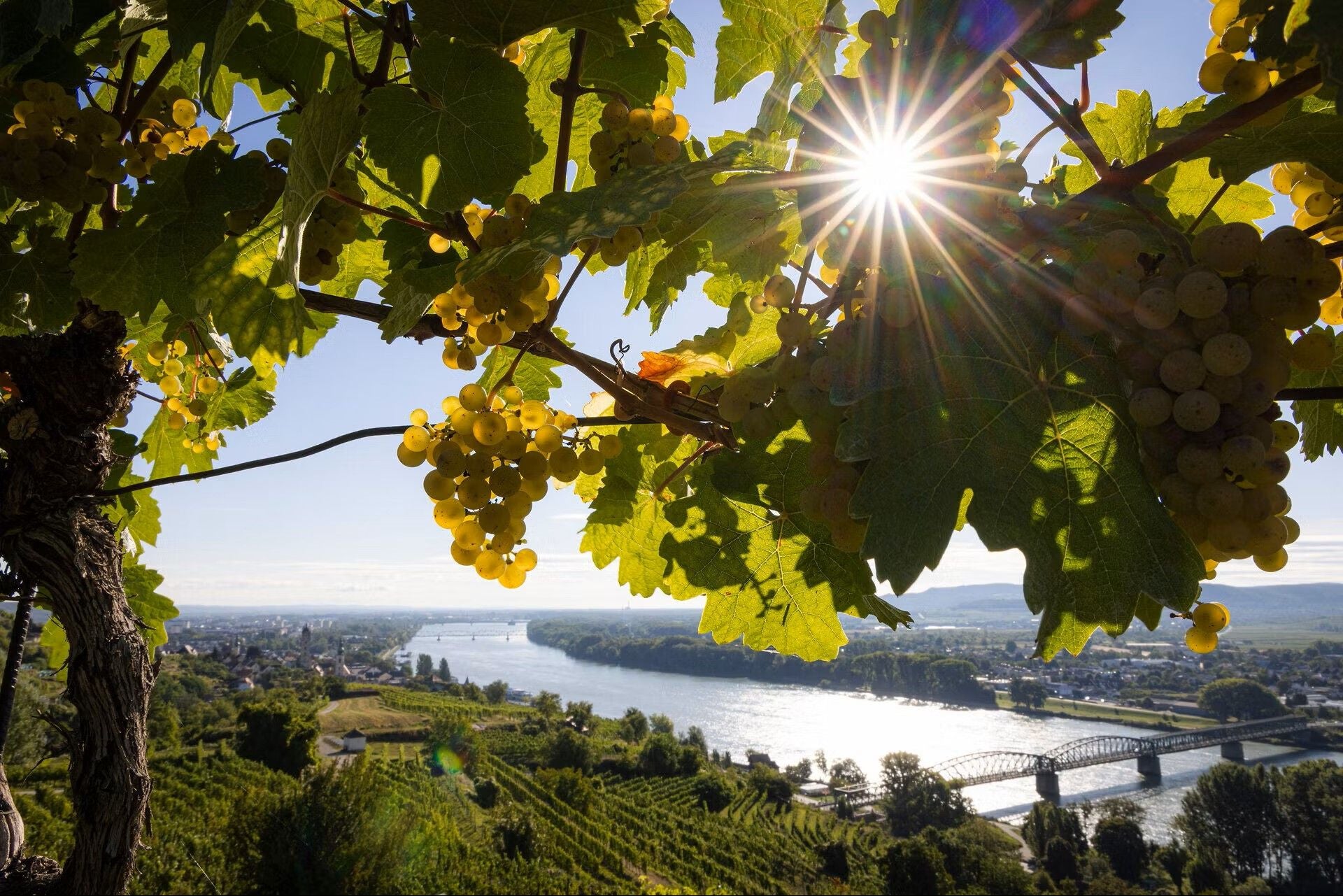 Der Herbst lockt kulinarisch.