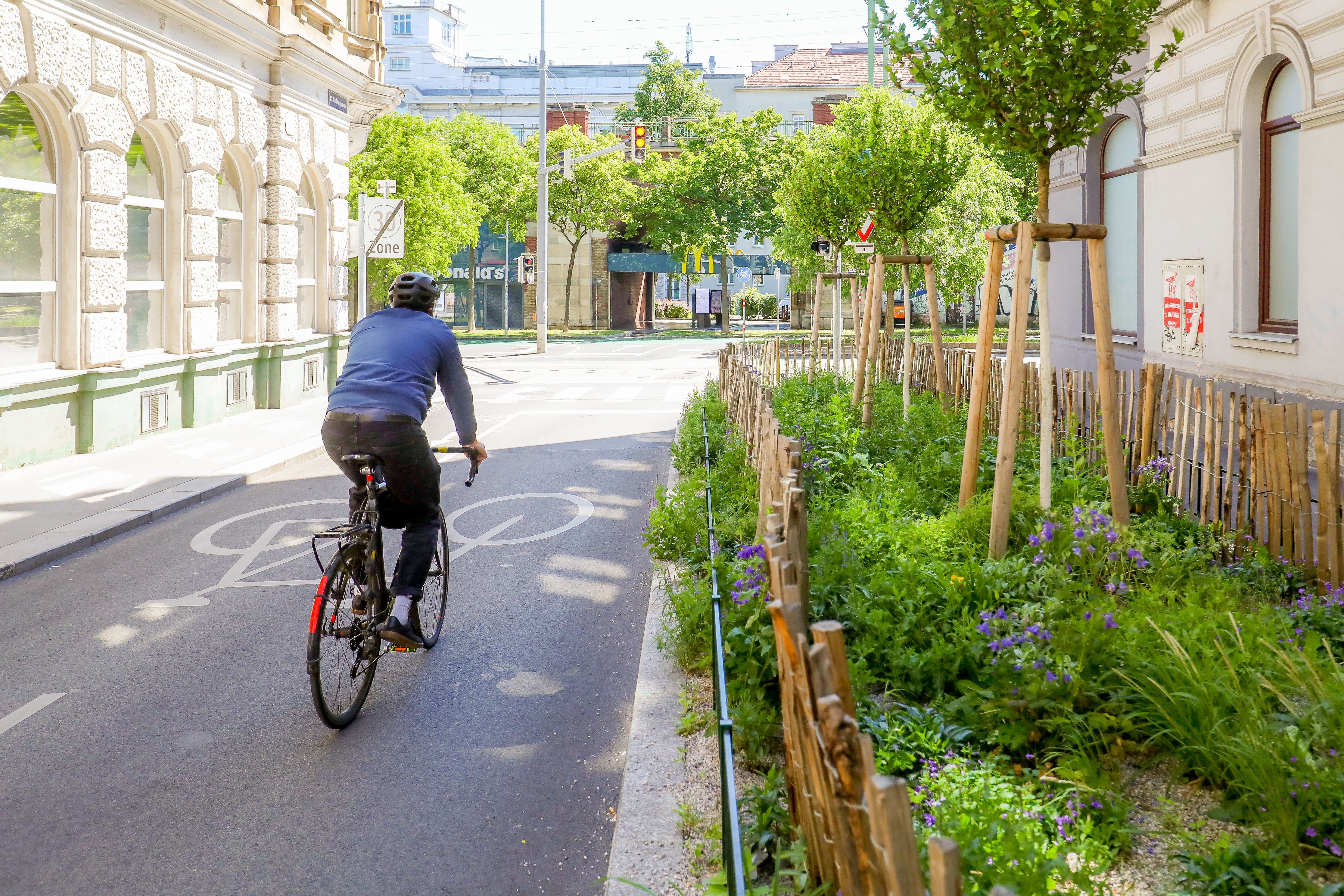 Radfahrer fährt auf einem markierten Radweg an einer begrünten Stadtstraße entlang.