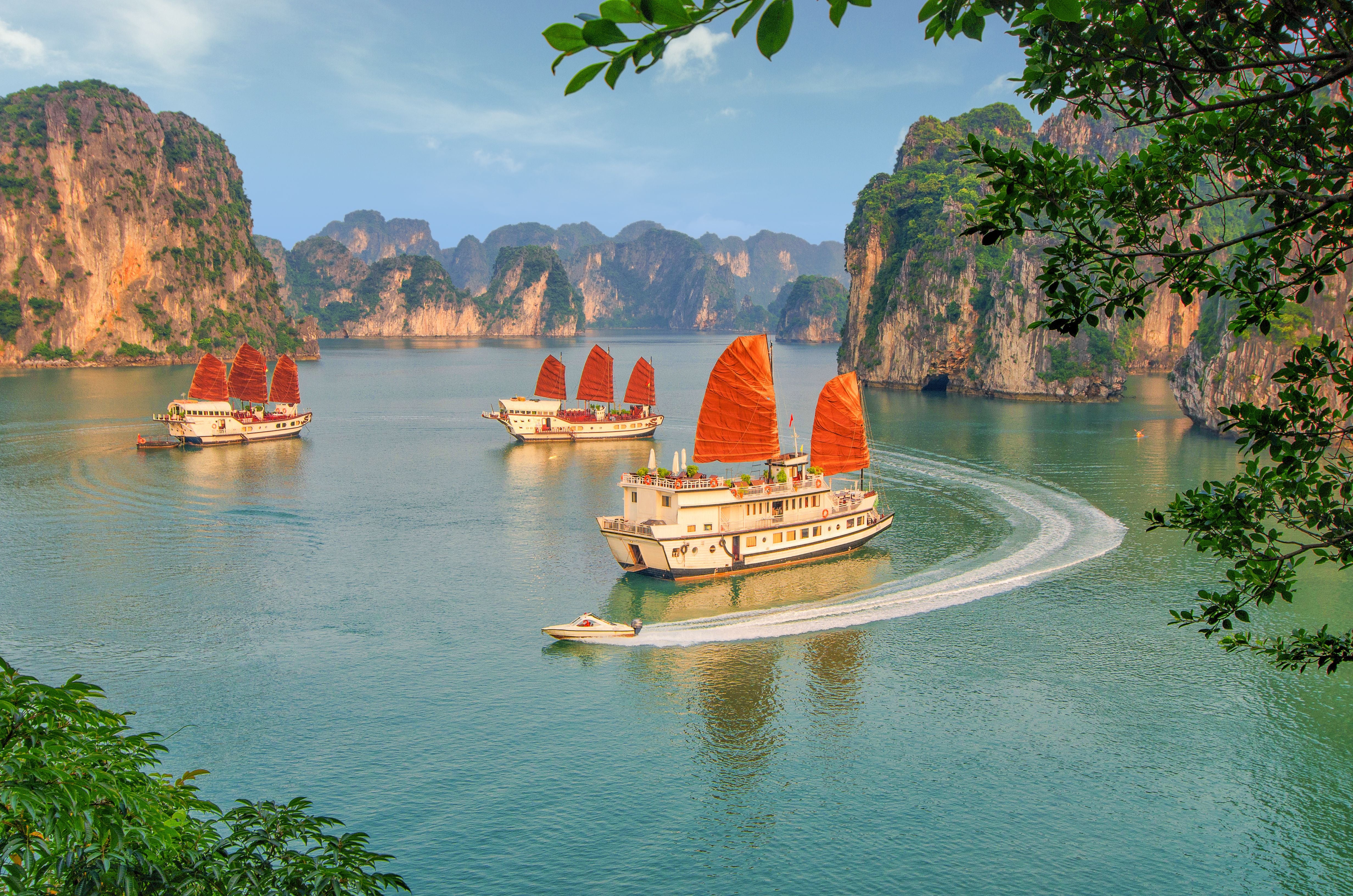 Traditionelle Dschunkenboote mit roten Segeln fahren in der malerischen Ha Long Bucht in Vietnam.