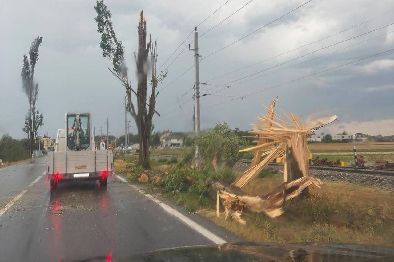 Gesplitterte Bäume und Schäden an der Straße nach einem Unwetter bei Leitha, mit Einsatzfahrzeug.