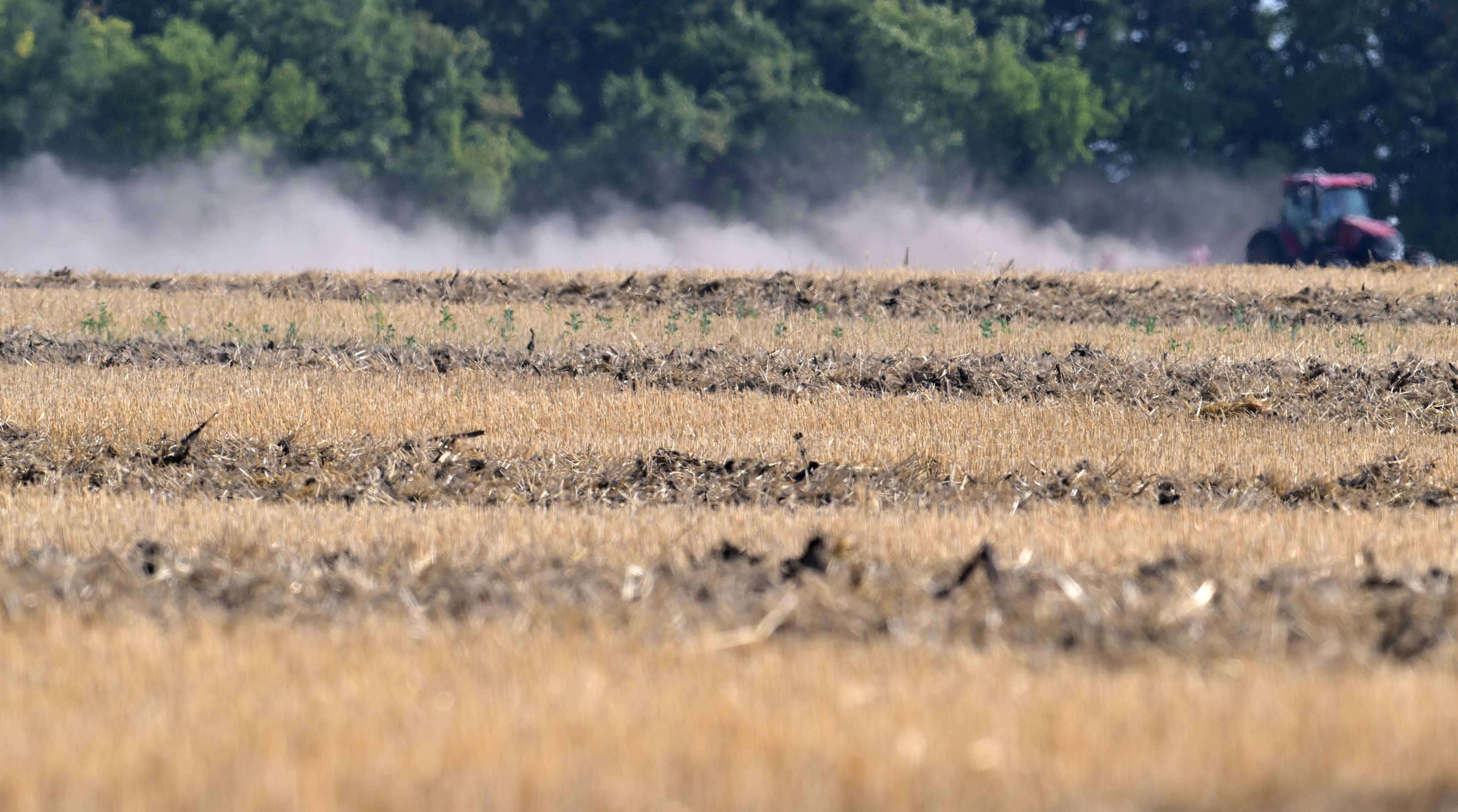 Ein Traktor lockert in staubiger Trockenheit ein abgeerntetes Feld in Niederösterreich auf.