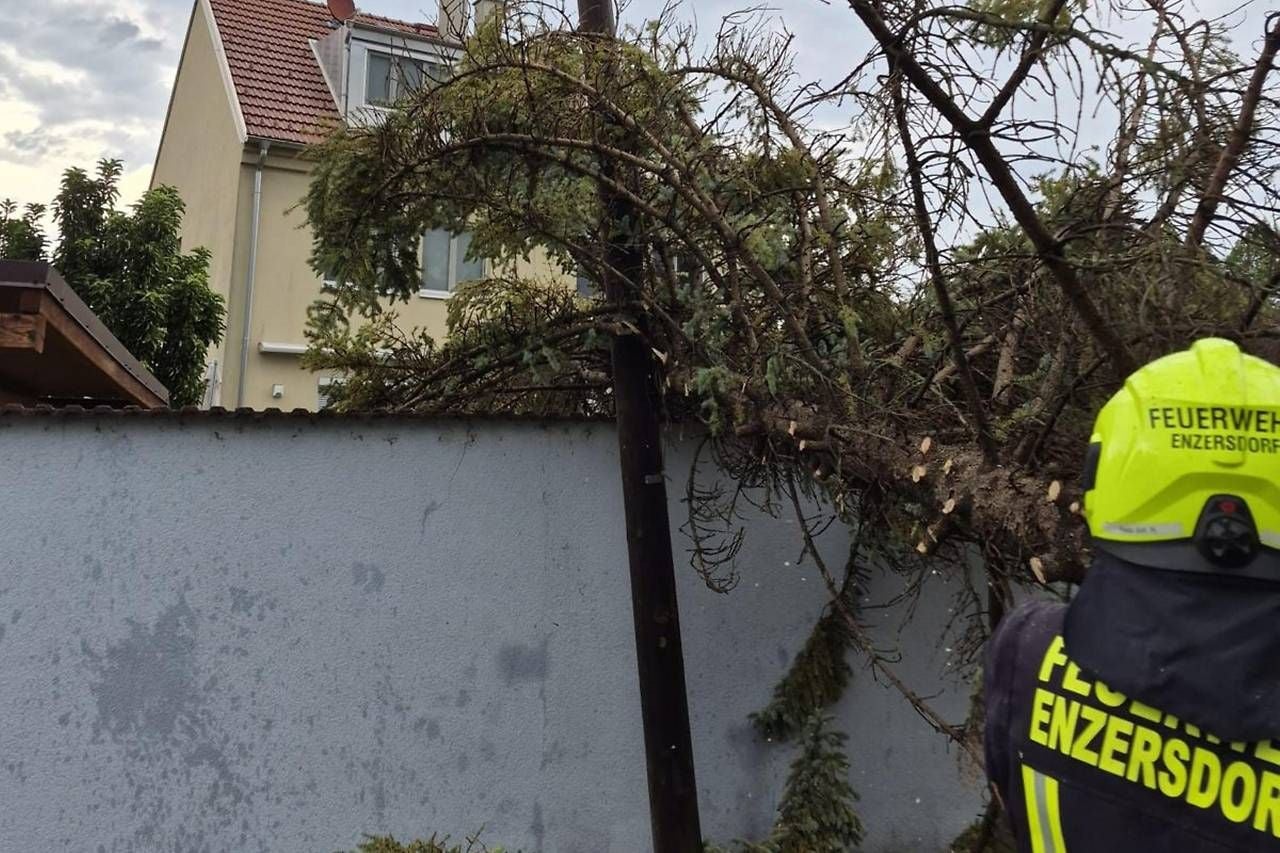 Feuerwehrmann entfernt einen umgestürzten Baum von einer Mauer in einem Wohngebiet.